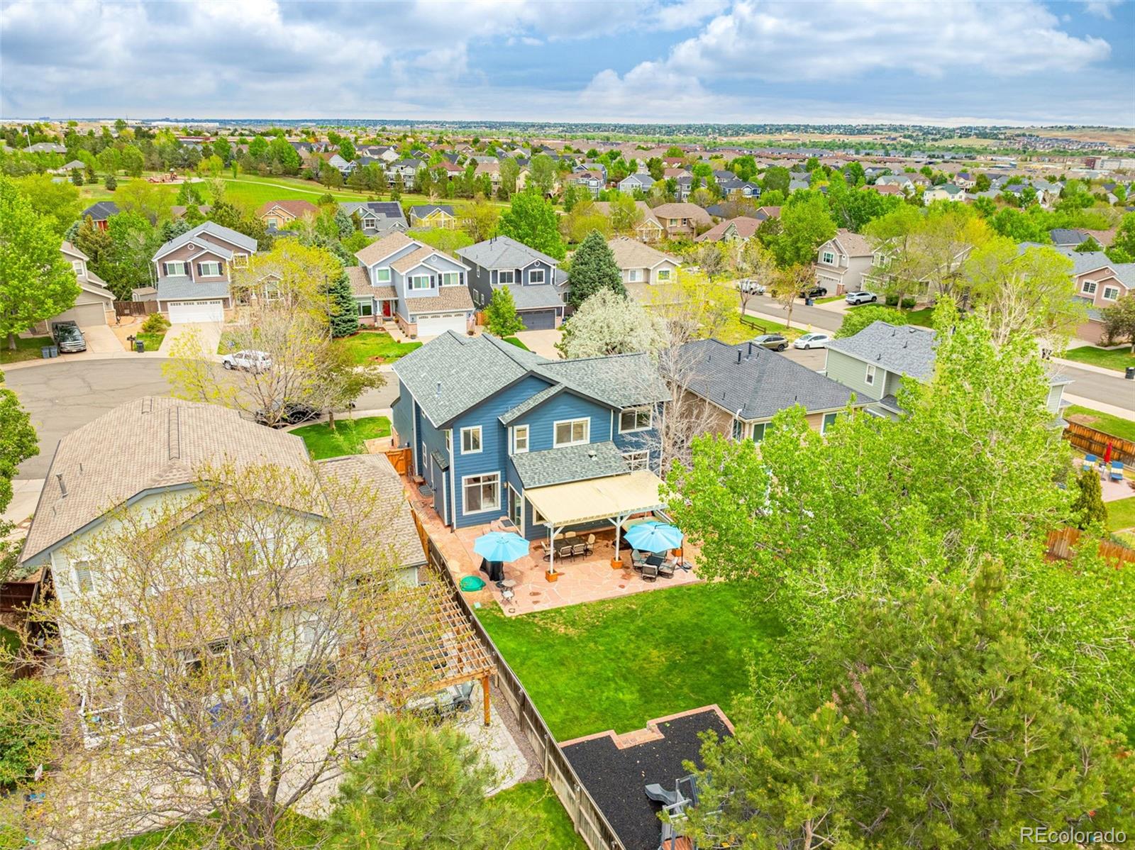 MLS Image #43 for 16128  amber rock court,parker, Colorado