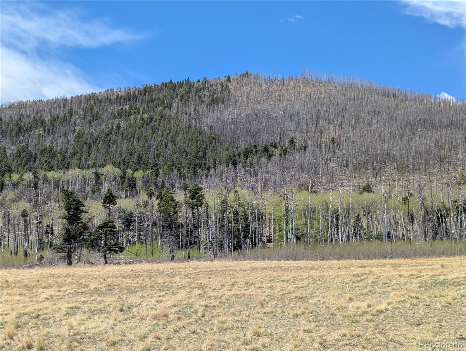 MLS Image #38 for 2084  forbes park road,fort garland, Colorado