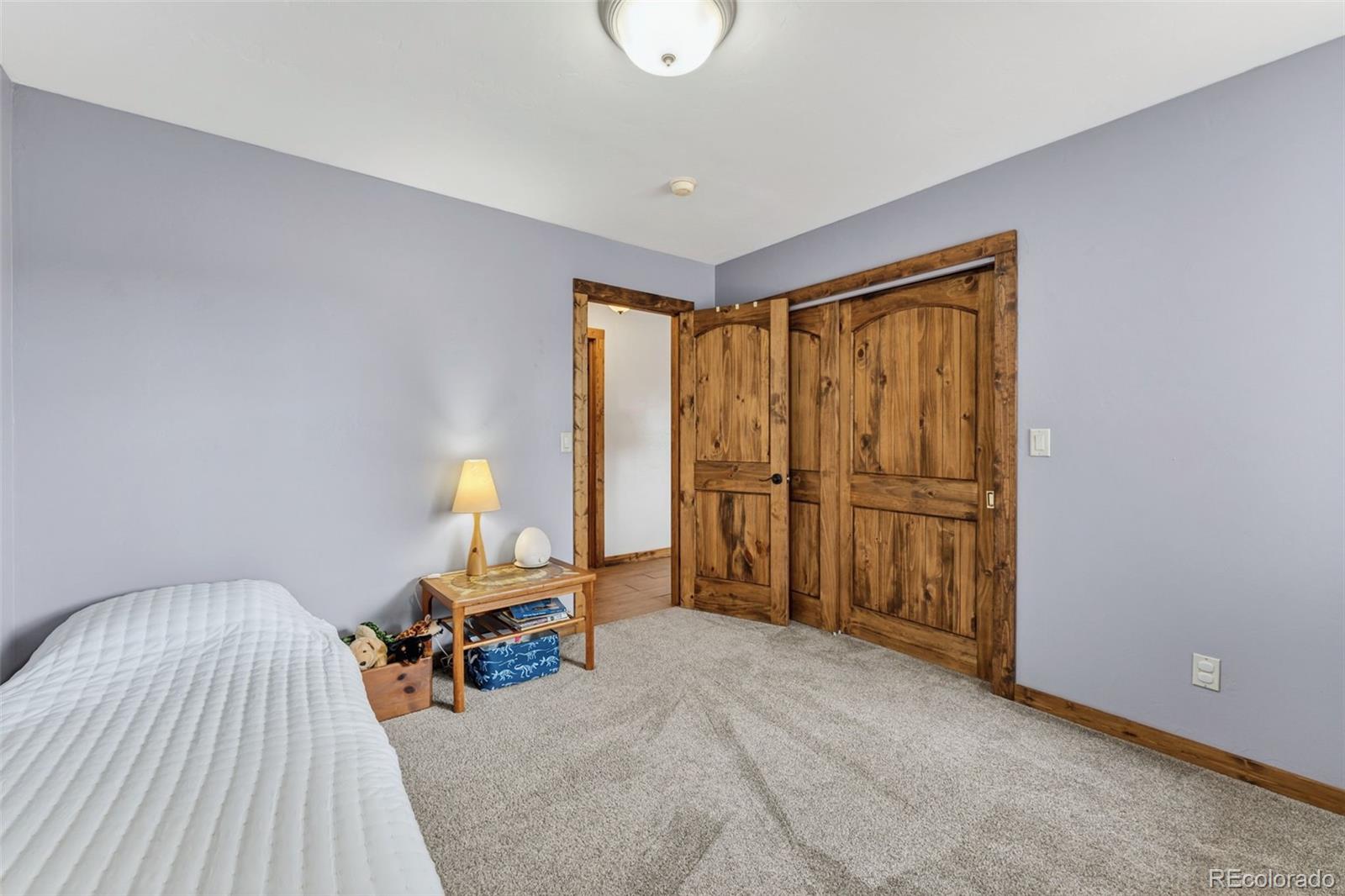 MLS Image #29 for 152  windwalker road,buena vista, Colorado
