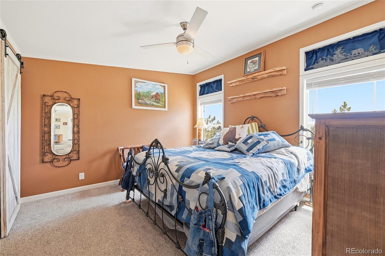 MLS Image #10 for 291  bandolier court,hartsel, Colorado