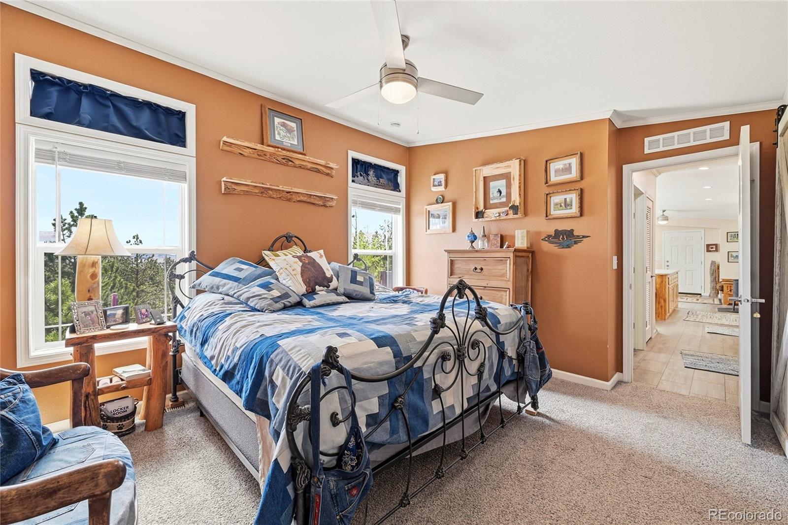 MLS Image #11 for 291  bandolier court,hartsel, Colorado