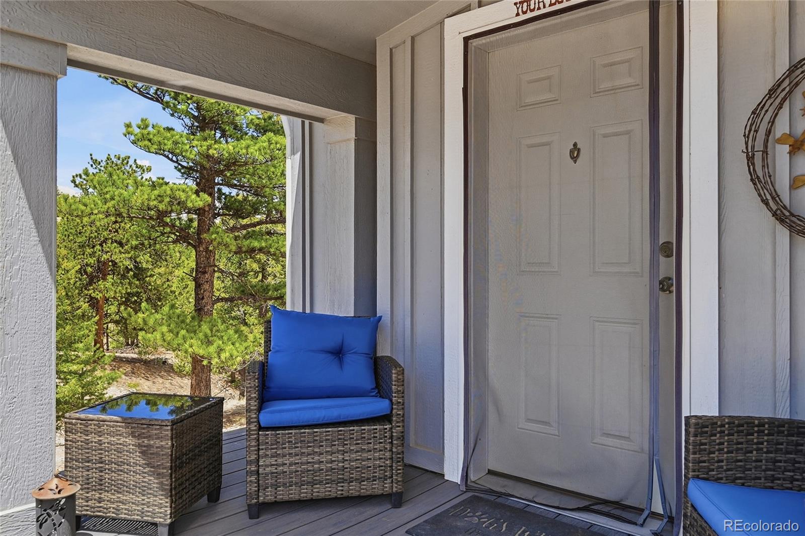 MLS Image #2 for 291  bandolier court,hartsel, Colorado