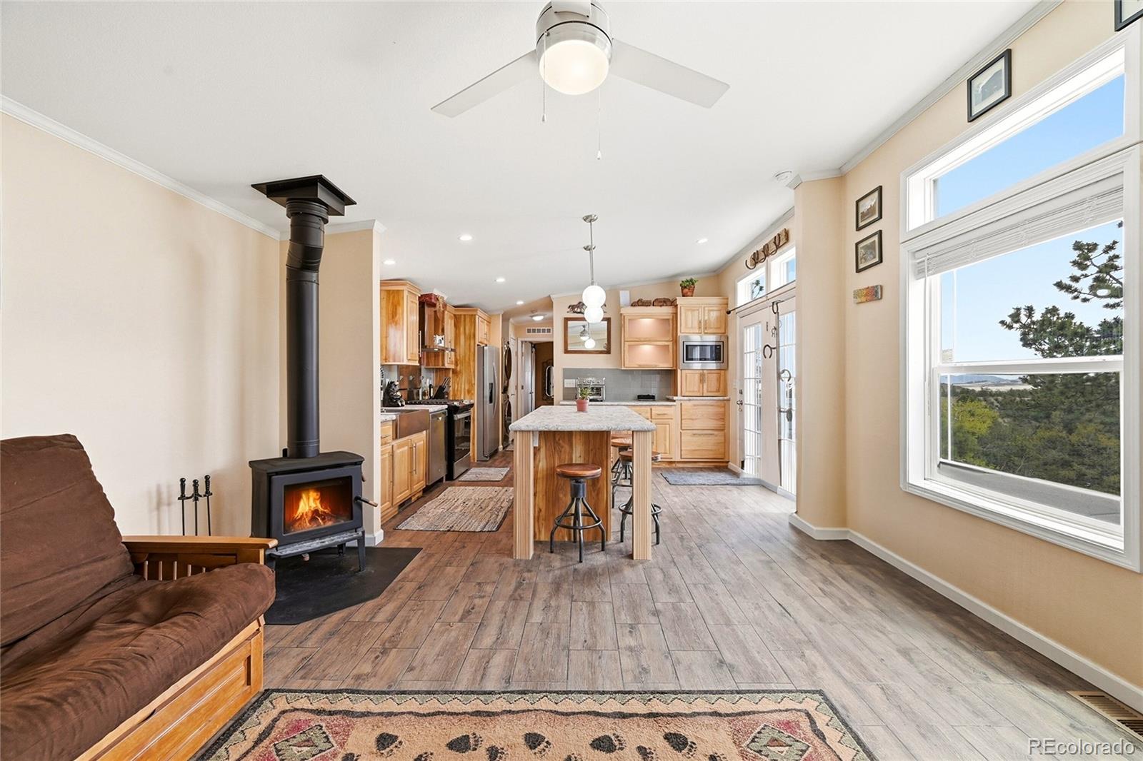 MLS Image #3 for 291  bandolier court,hartsel, Colorado