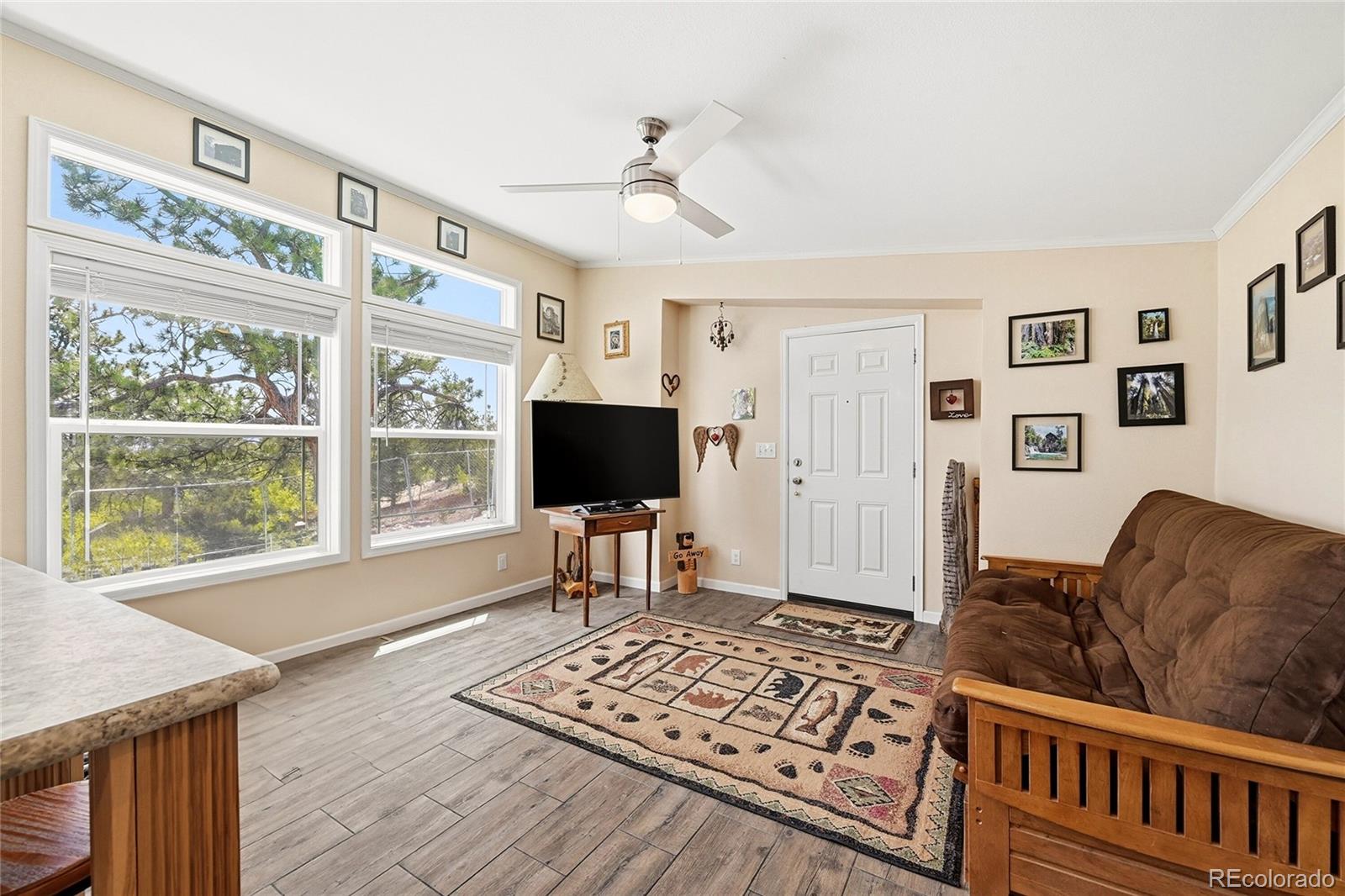 MLS Image #4 for 291  bandolier court,hartsel, Colorado