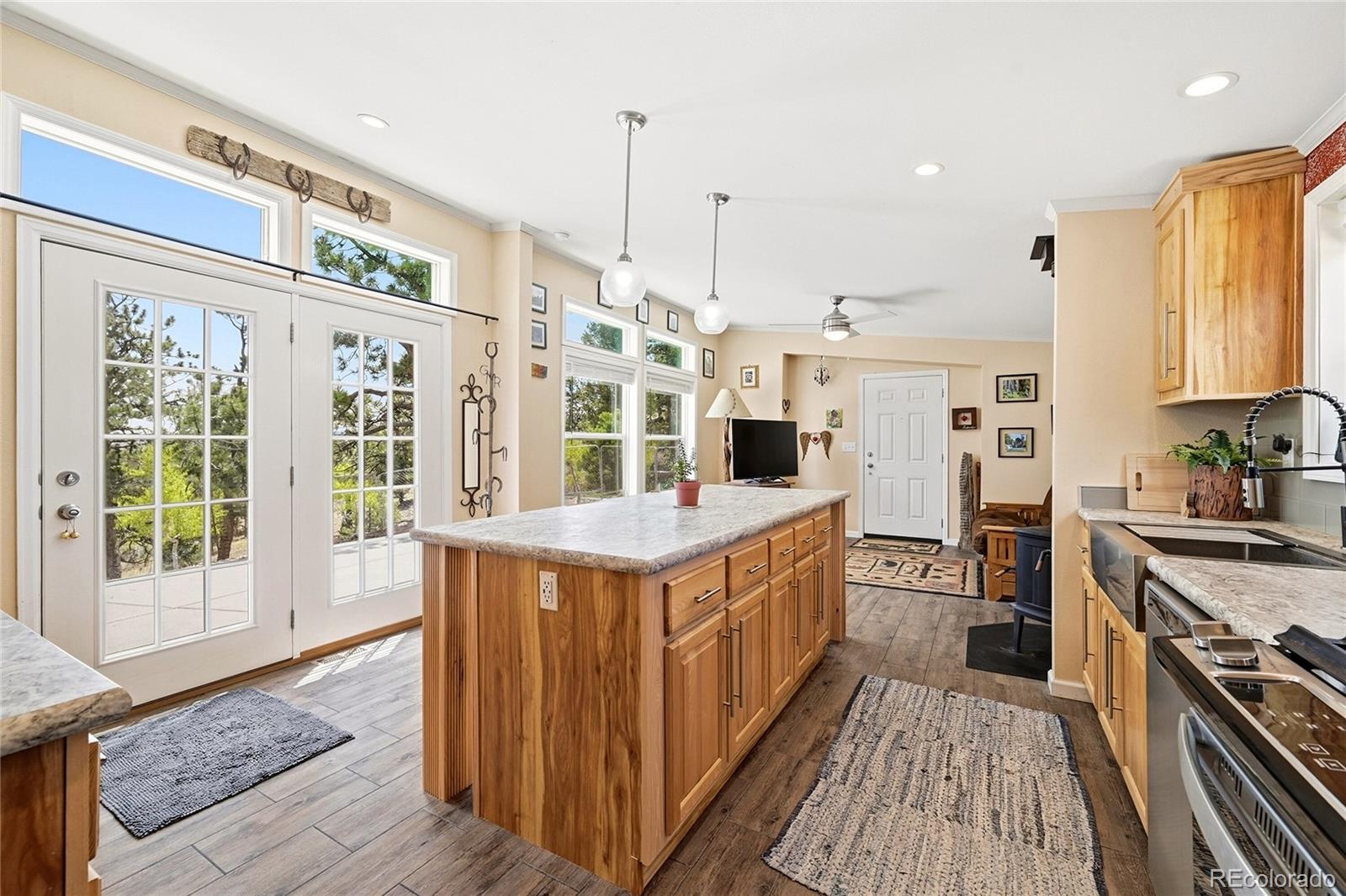 MLS Image #8 for 291  bandolier court,hartsel, Colorado