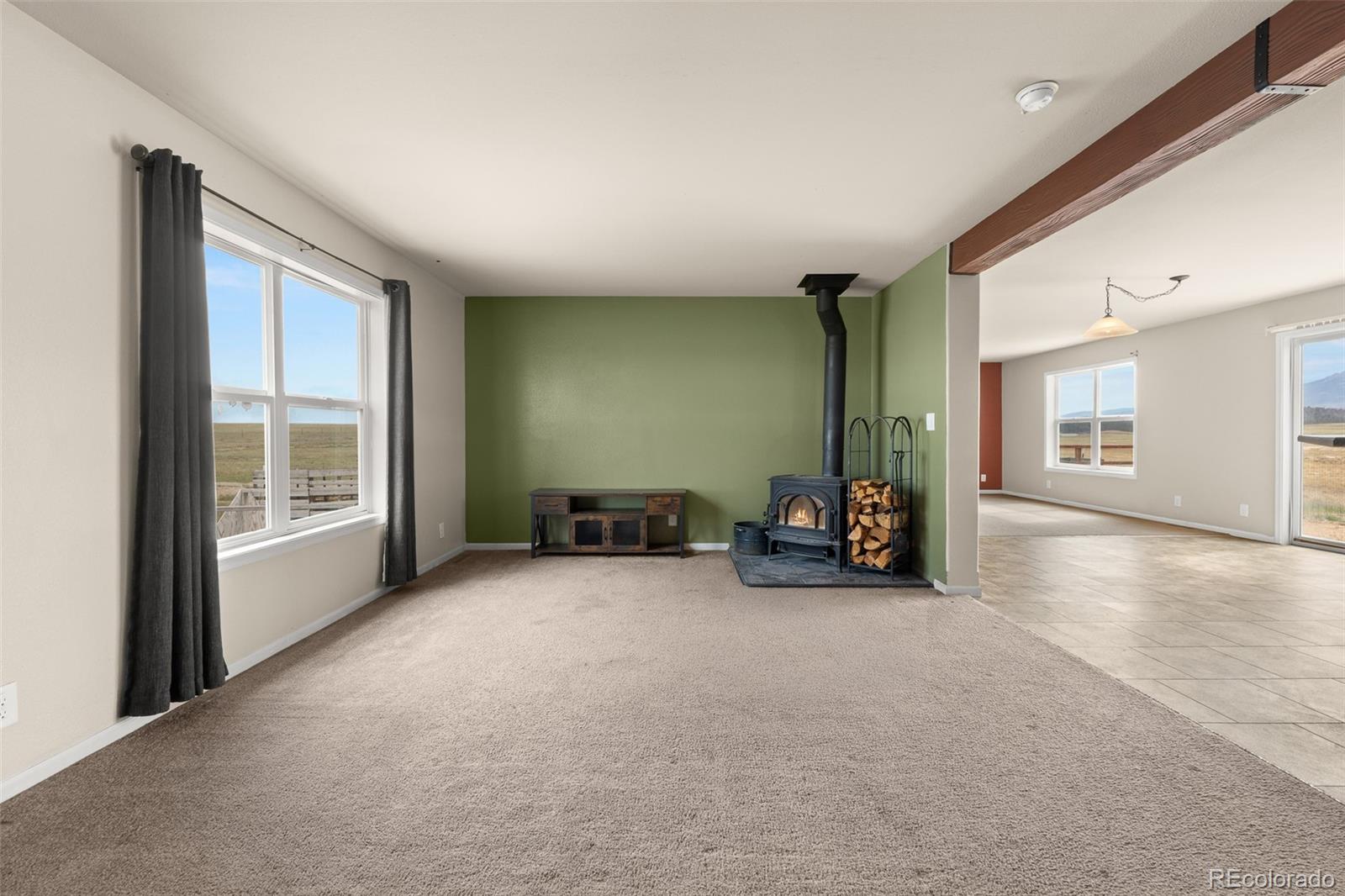 MLS Image #10 for 4680  rogers drive,hartsel, Colorado
