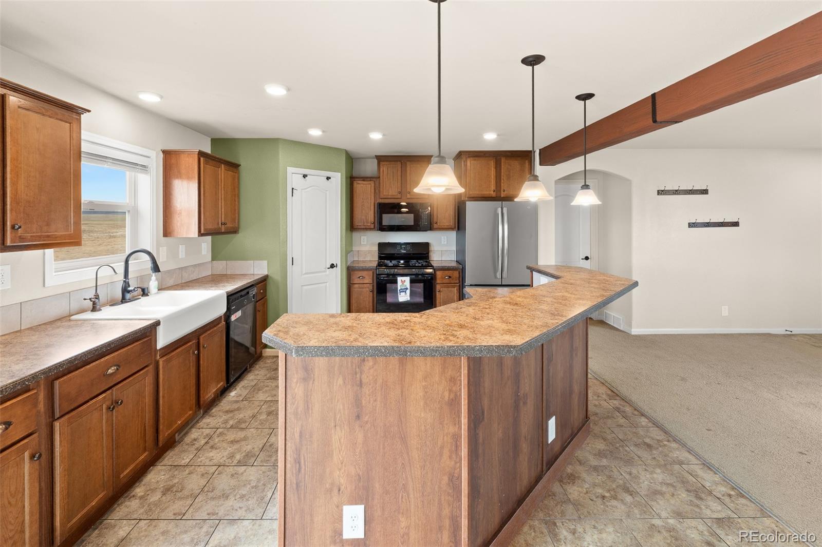 MLS Image #6 for 4680  rogers drive,hartsel, Colorado