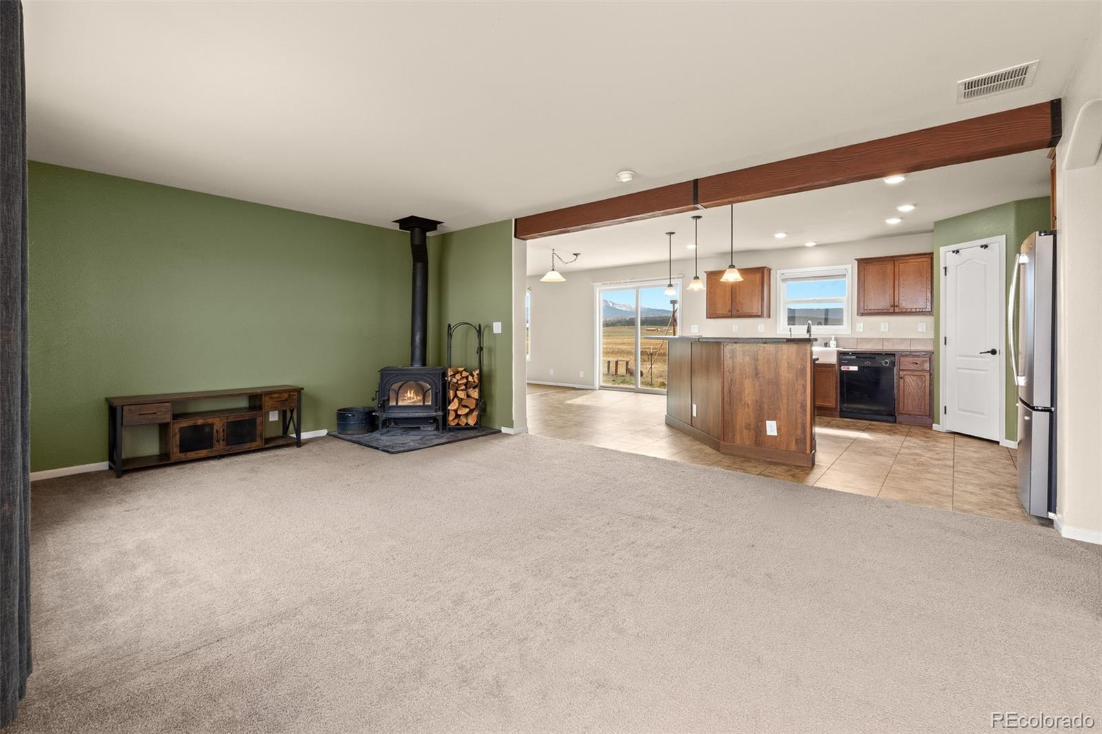 MLS Image #9 for 4680  rogers drive,hartsel, Colorado