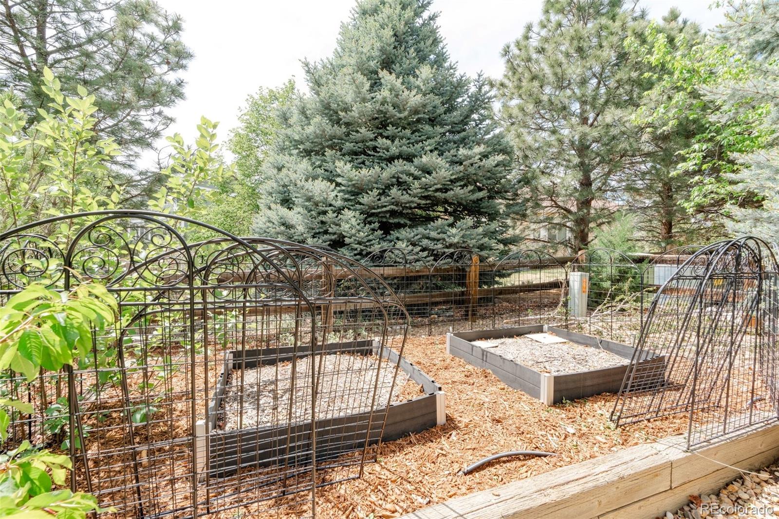 MLS Image #36 for 6493 s sedalia street,centennial, Colorado