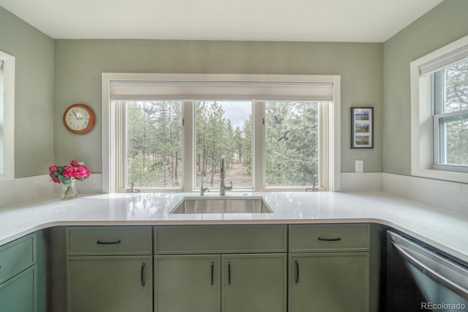 MLS Image #11 for 453  black fawn lane,westcliffe, Colorado