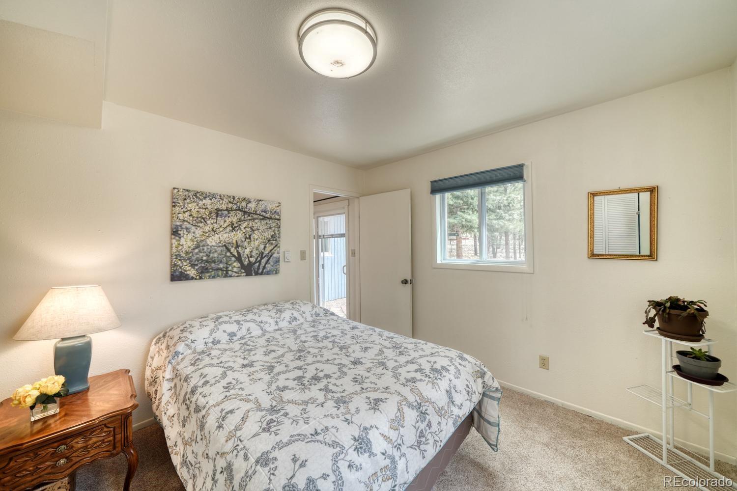 MLS Image #19 for 453  black fawn lane,westcliffe, Colorado