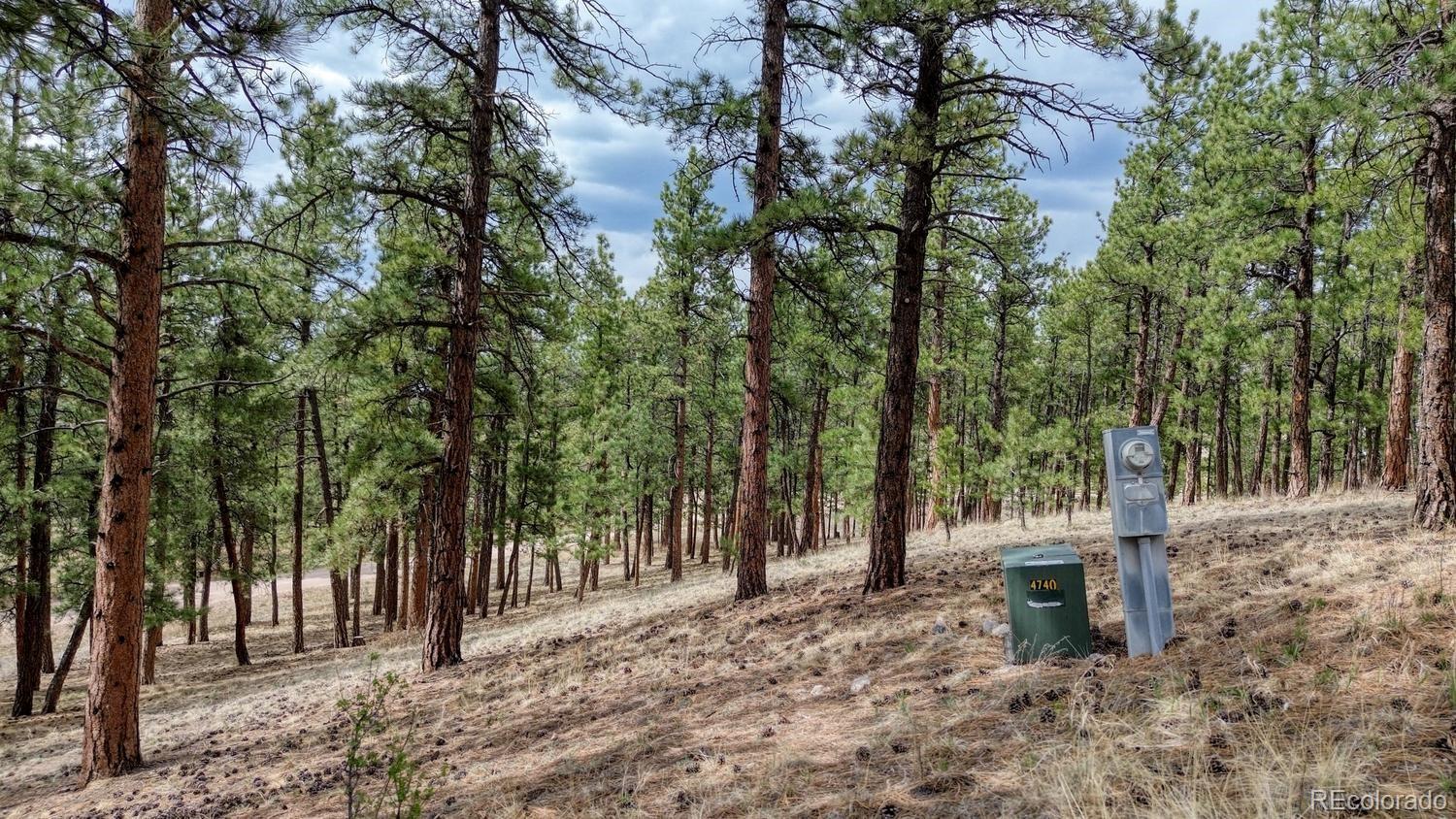 MLS Image #26 for 453  black fawn lane,westcliffe, Colorado