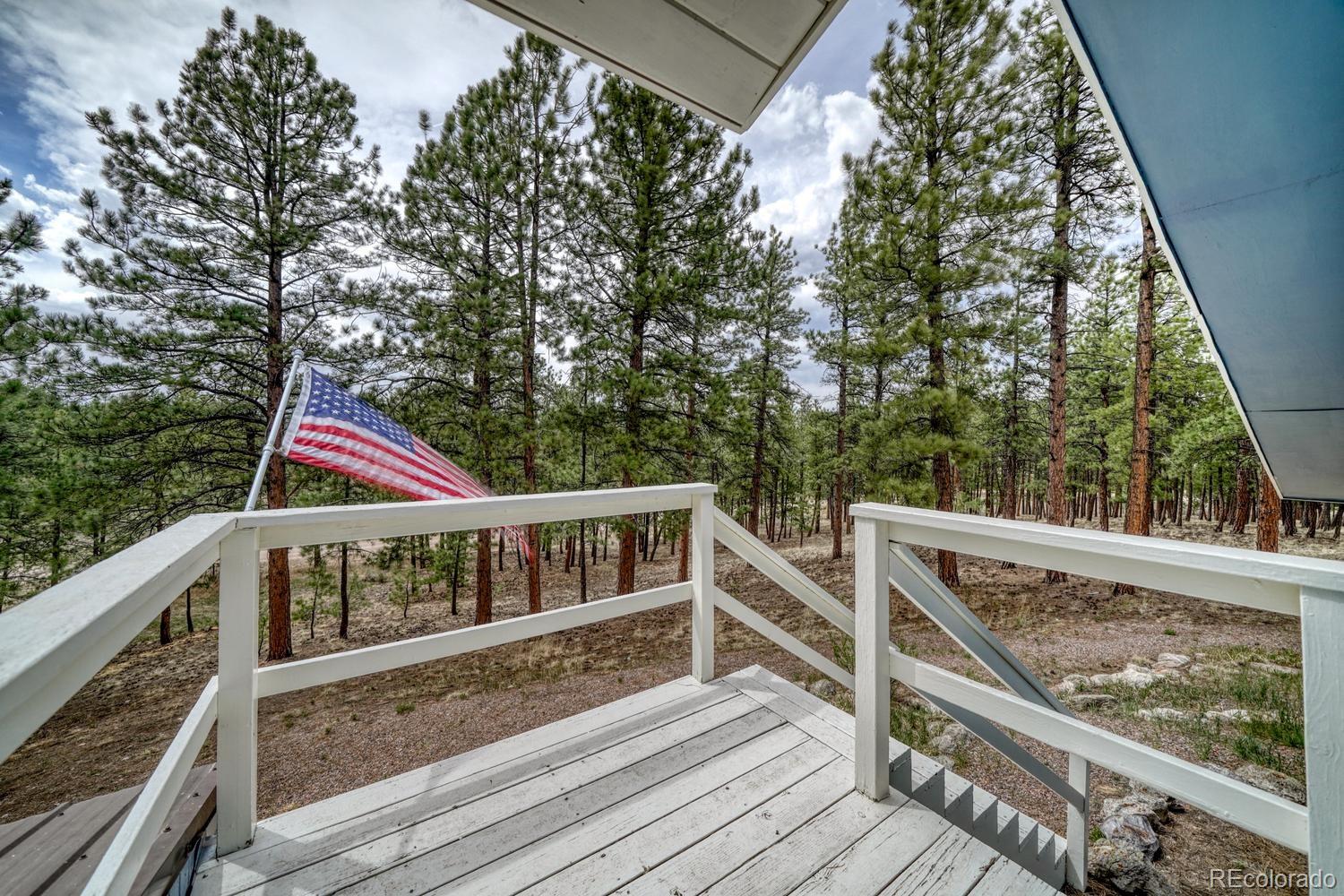 MLS Image #28 for 453  black fawn lane,westcliffe, Colorado