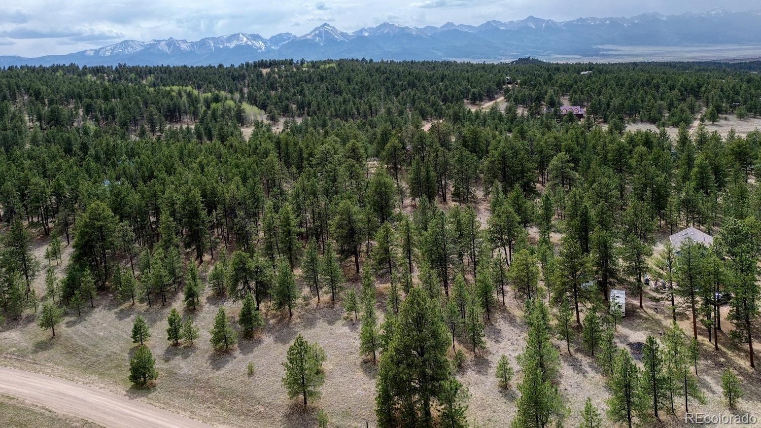 MLS Image #32 for 453  black fawn lane,westcliffe, Colorado