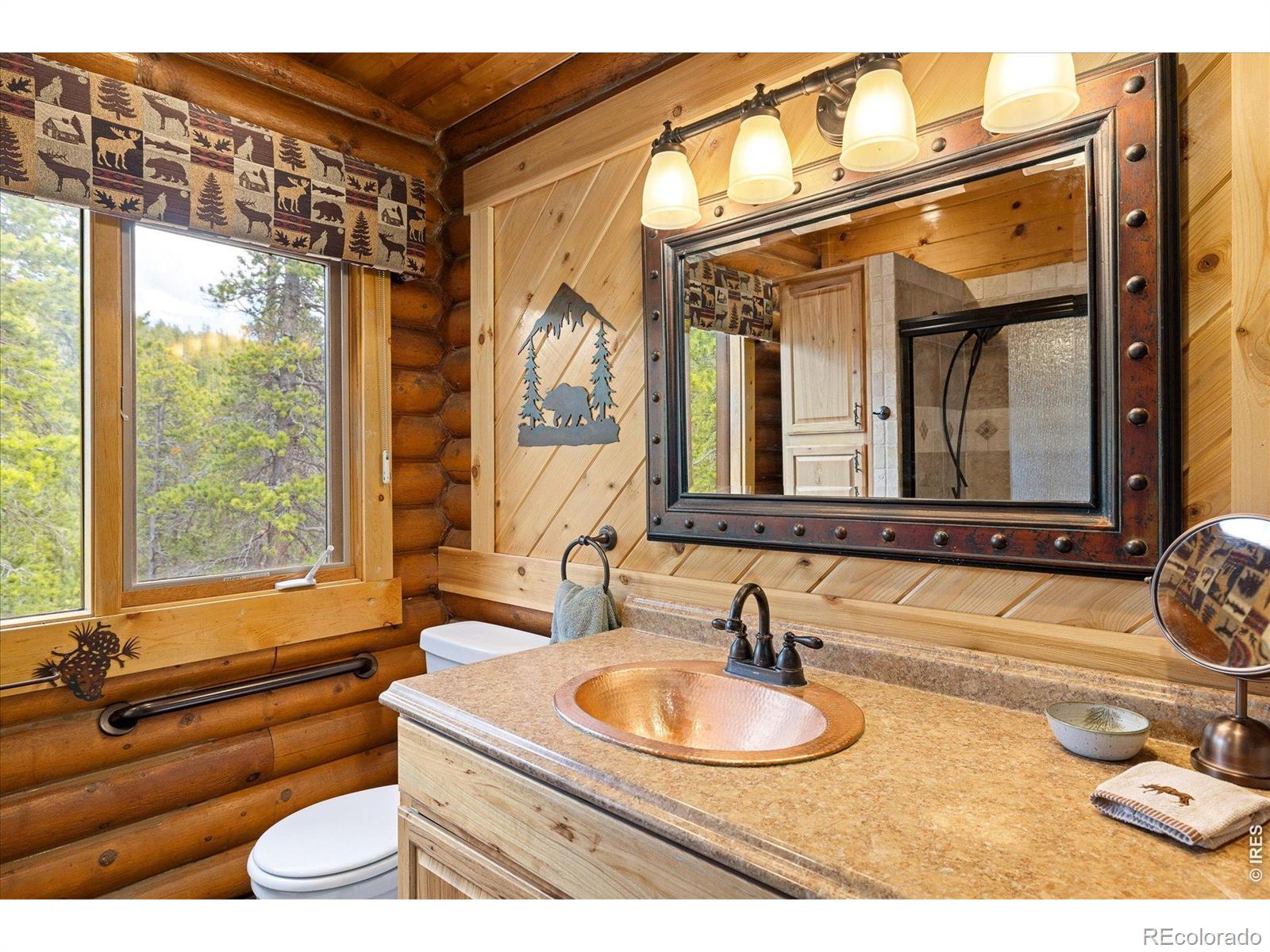 MLS Image #20 for 34425  stanton drive,golden, Colorado
