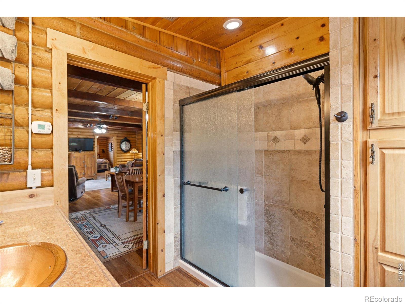 MLS Image #21 for 34425  stanton drive,golden, Colorado