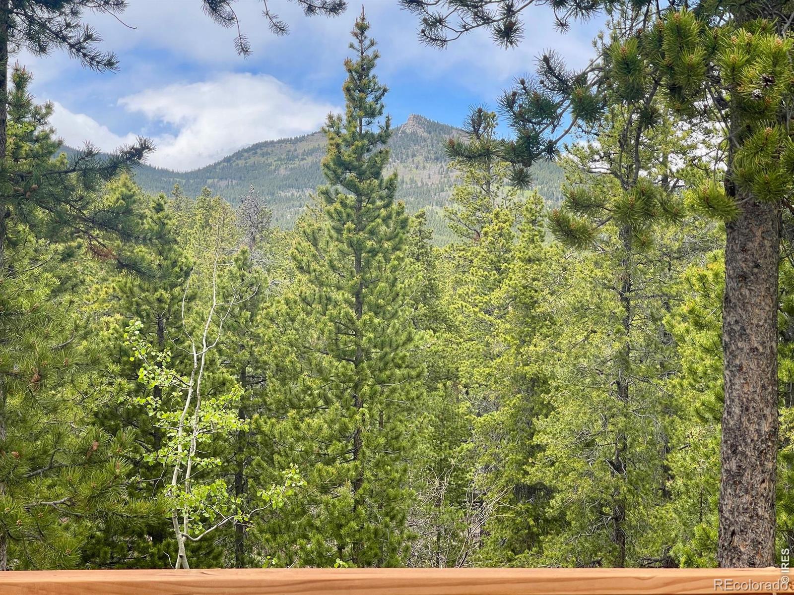 MLS Image #28 for 34425  stanton drive,golden, Colorado