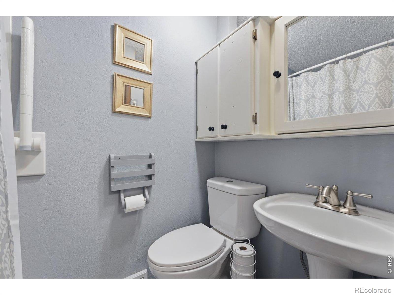 MLS Image #28 for 342  limber place,loveland, Colorado