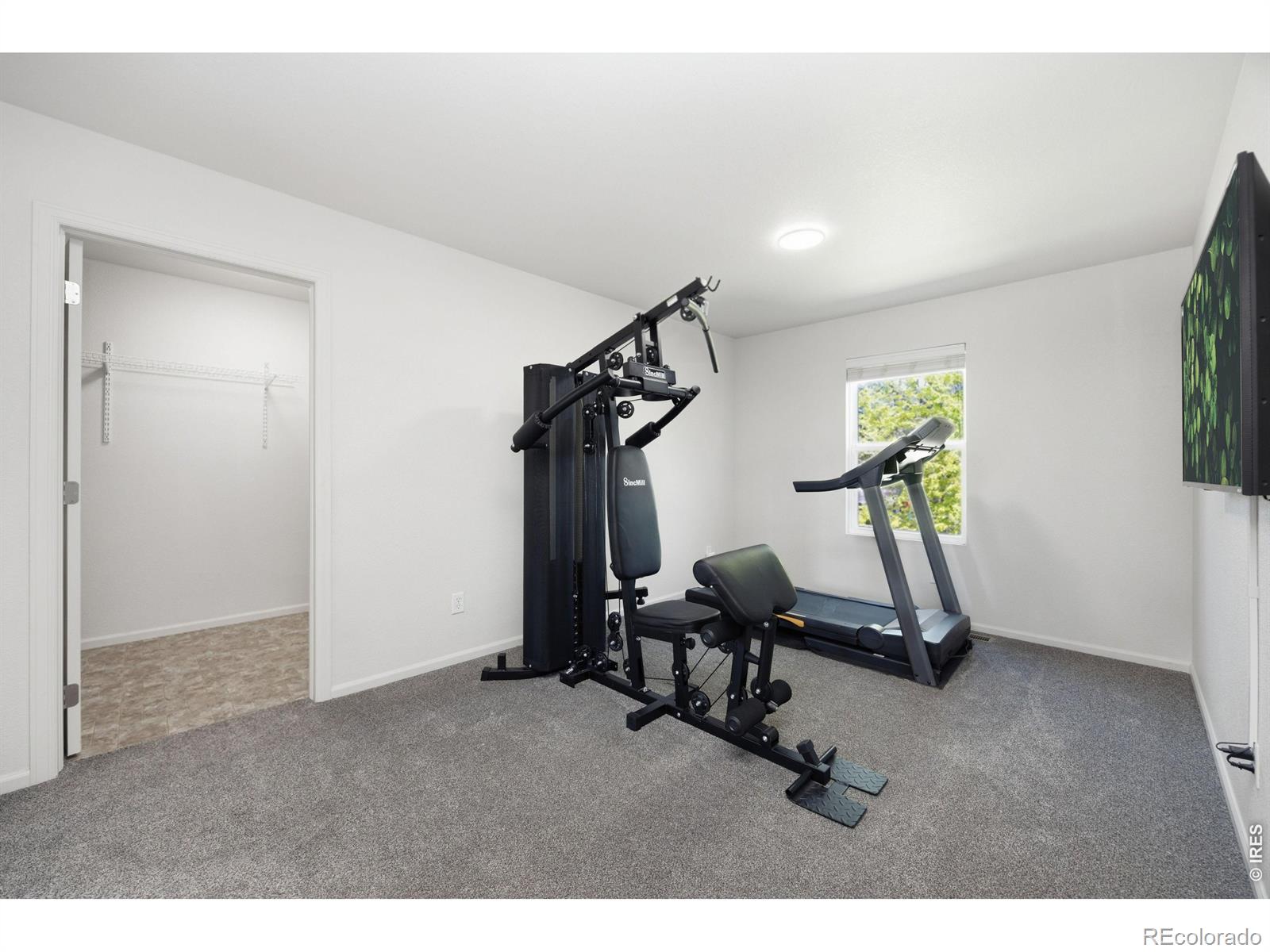 MLS Image #36 for 13632  wrangler way,mead, Colorado