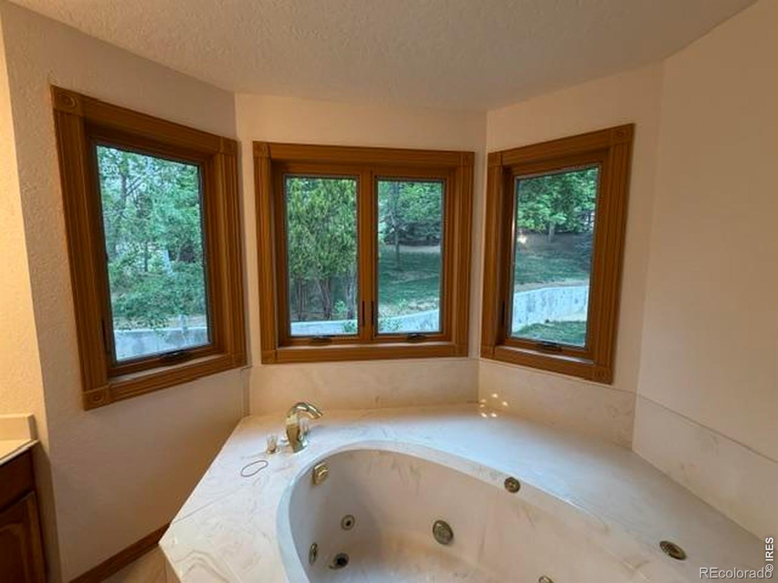 MLS Image #11 for 4212  wellington drive,fort collins, Colorado