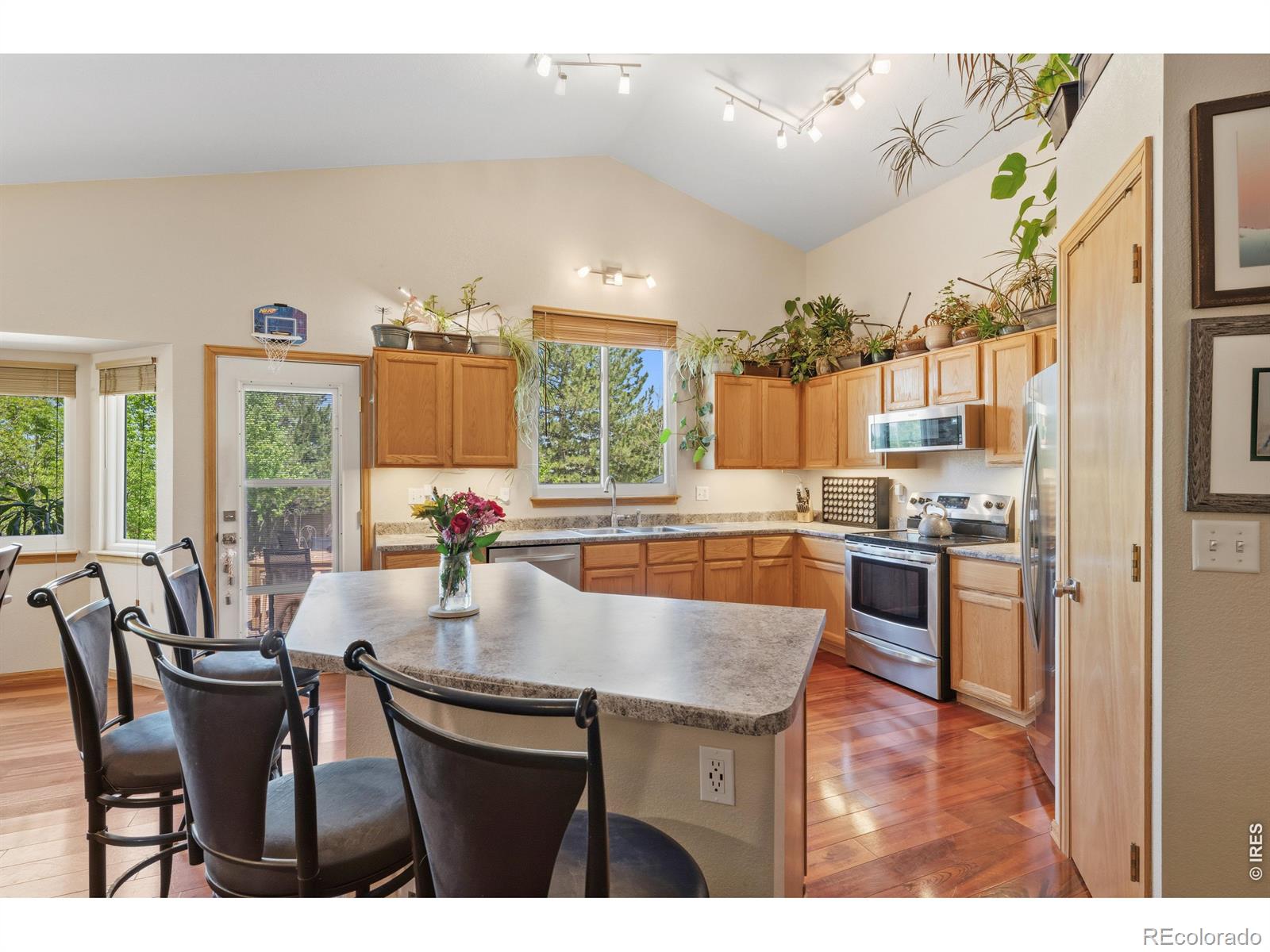 MLS Image #10 for 79  red oak court,erie, Colorado