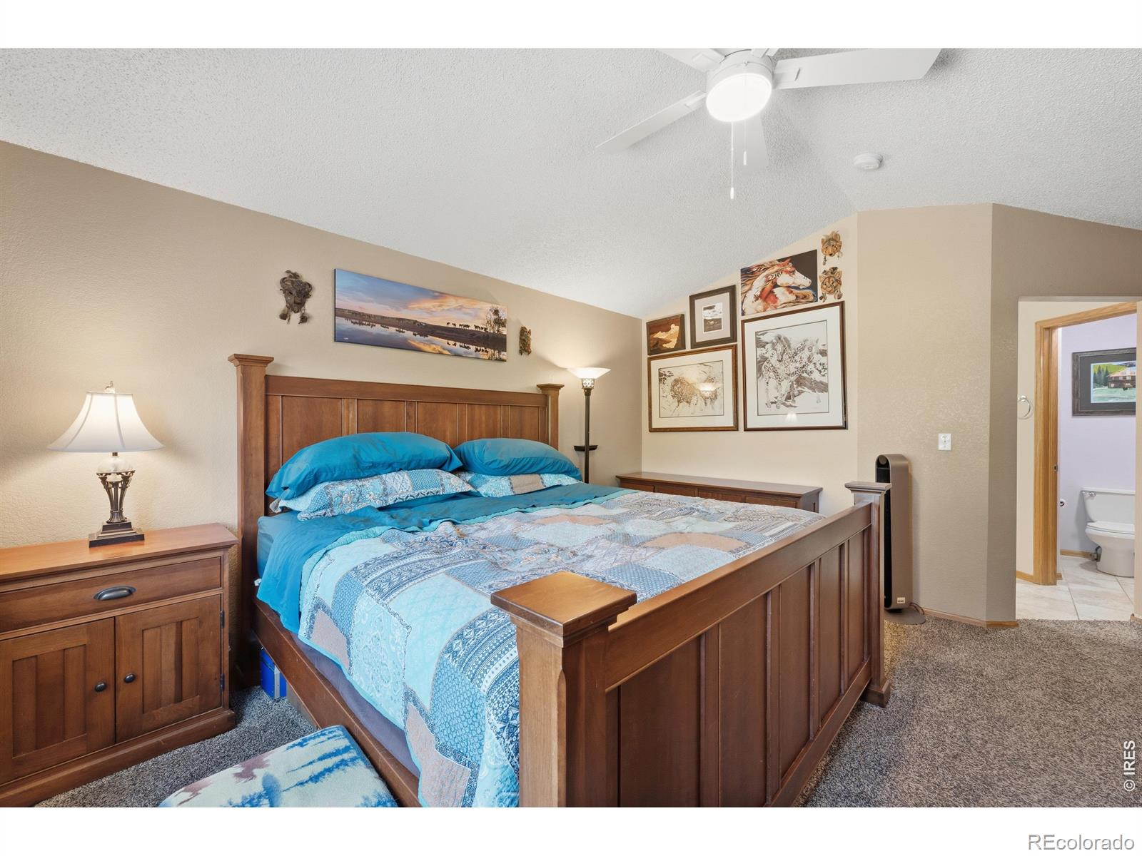 MLS Image #11 for 79  red oak court,erie, Colorado