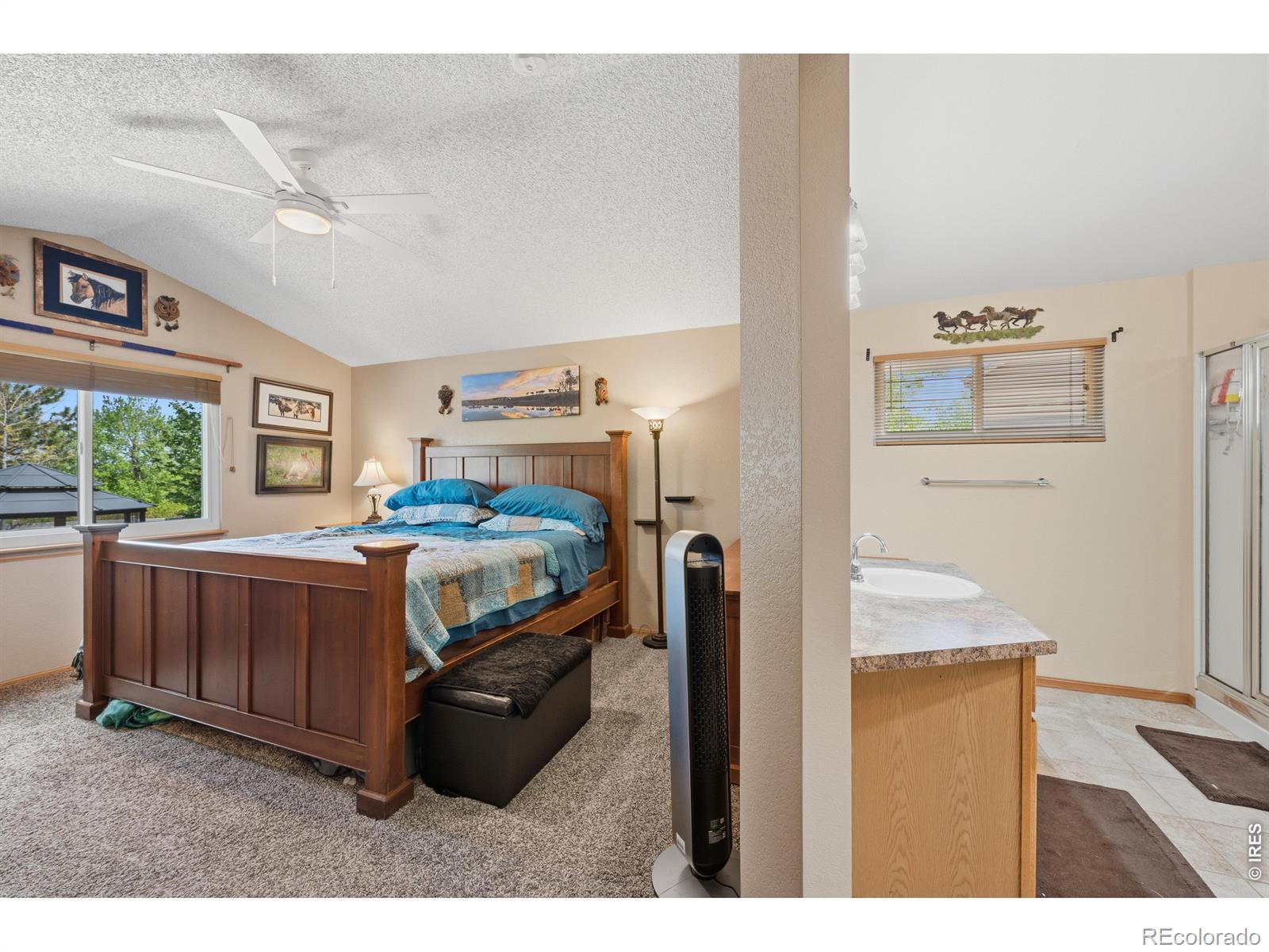 MLS Image #12 for 79  red oak court,erie, Colorado