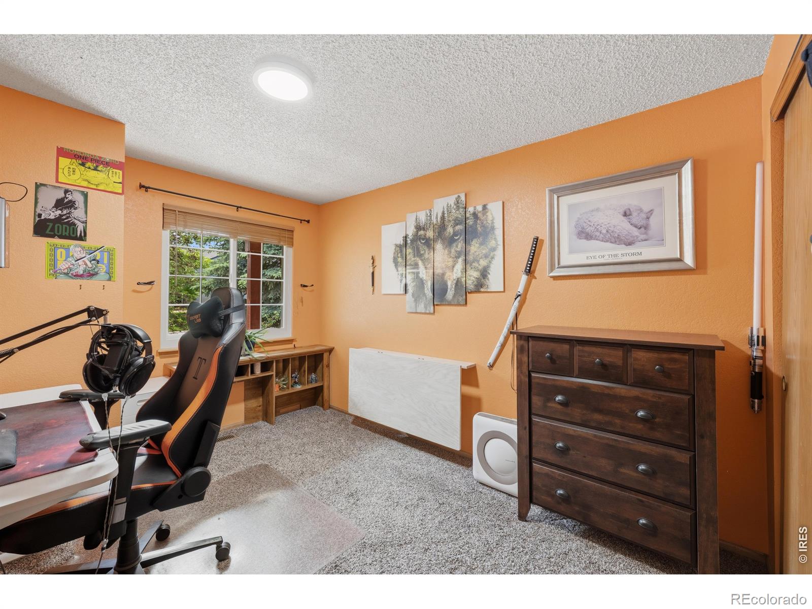MLS Image #16 for 79  red oak court,erie, Colorado