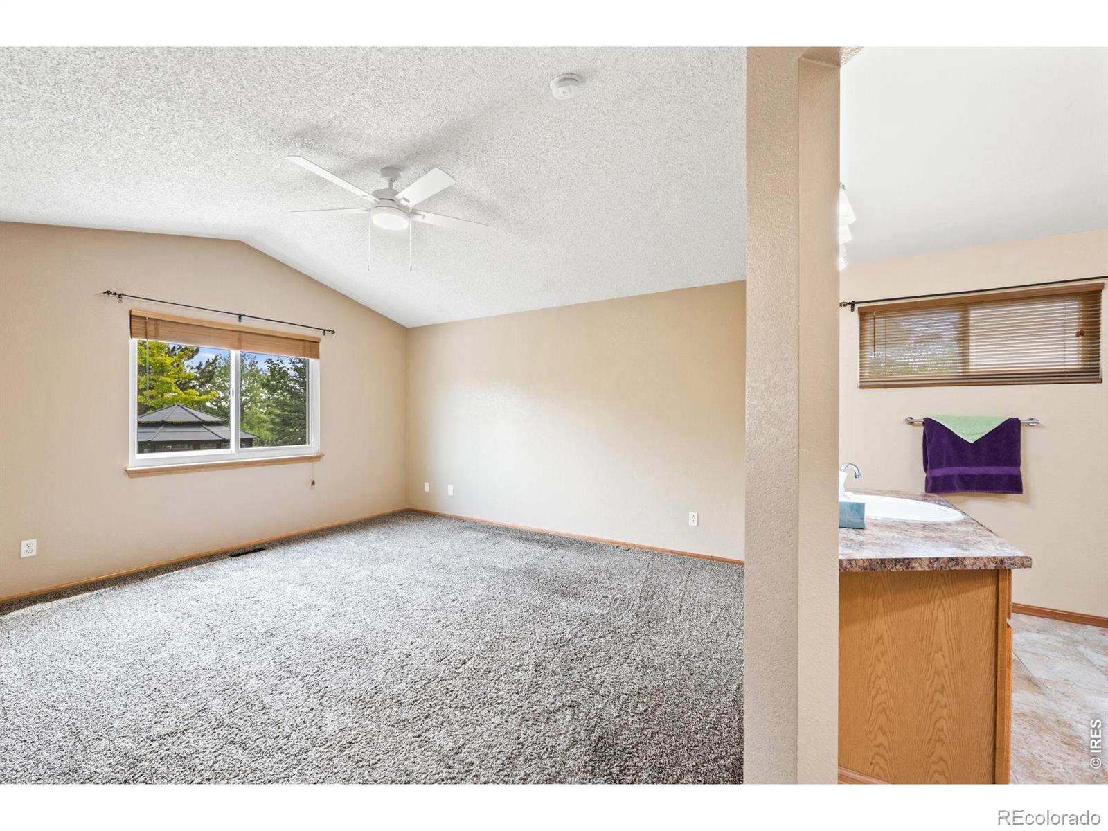 MLS Image #40 for 79  red oak court,erie, Colorado