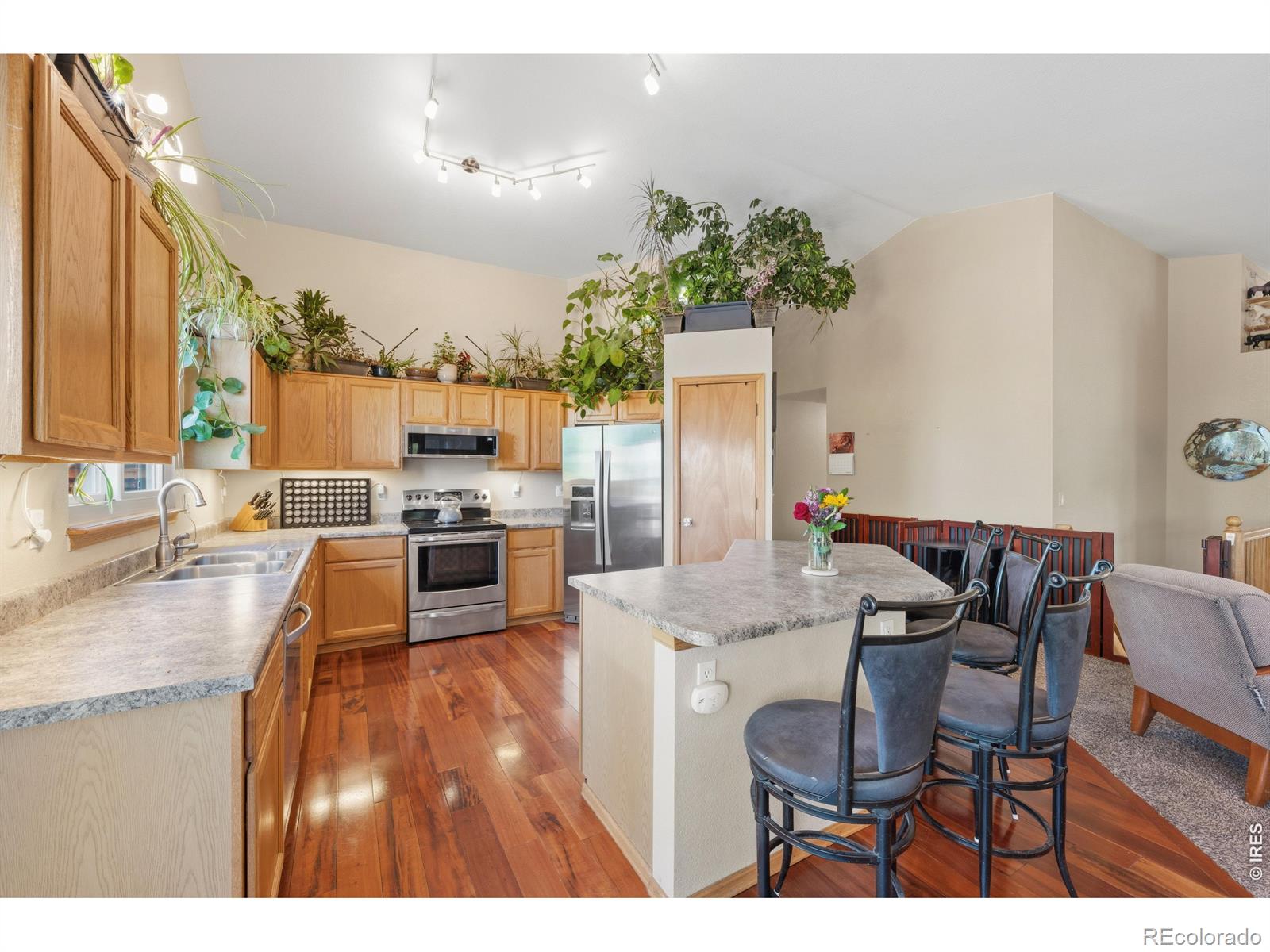 MLS Image #8 for 79  red oak court,erie, Colorado