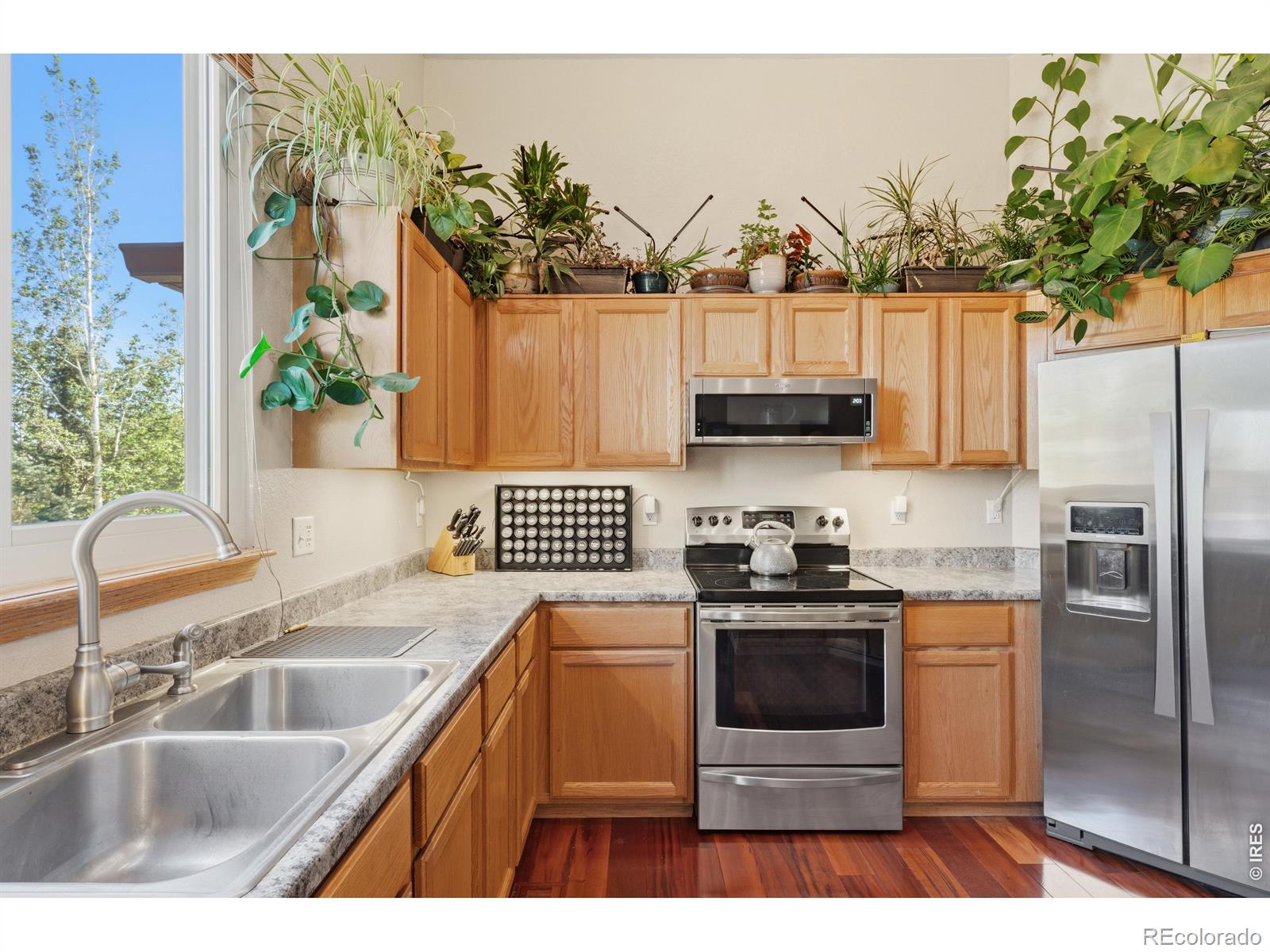 MLS Image #9 for 79  red oak court,erie, Colorado
