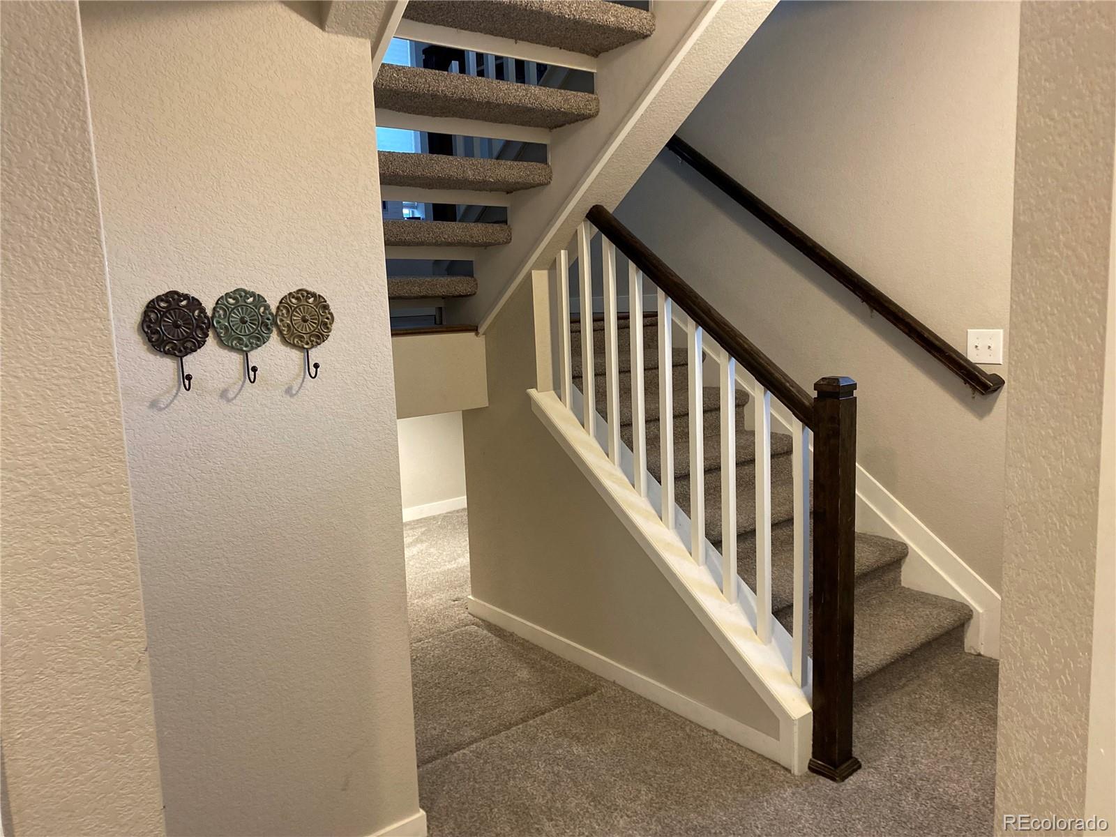 MLS Image #15 for 3732  sanguine circle,castle rock, Colorado