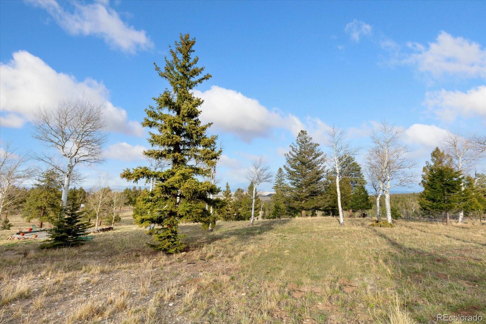 MLS Image #36 for 937  pitchfork road,hartsel, Colorado