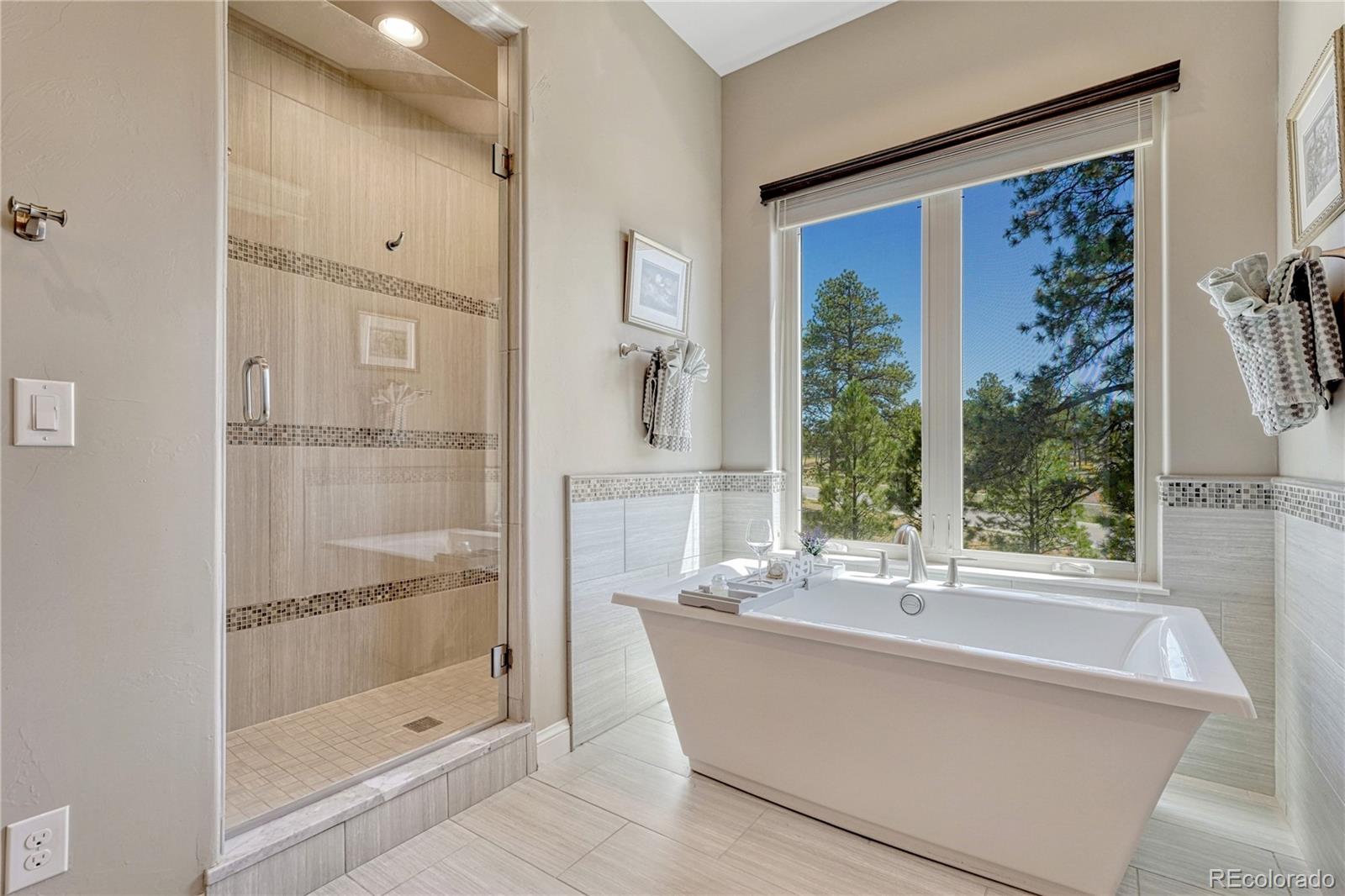 MLS Image #21 for 5732  regal oak lane,parker, Colorado