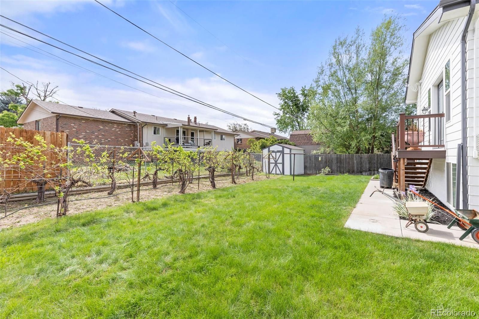 MLS Image #39 for 6542  iris street,arvada, Colorado