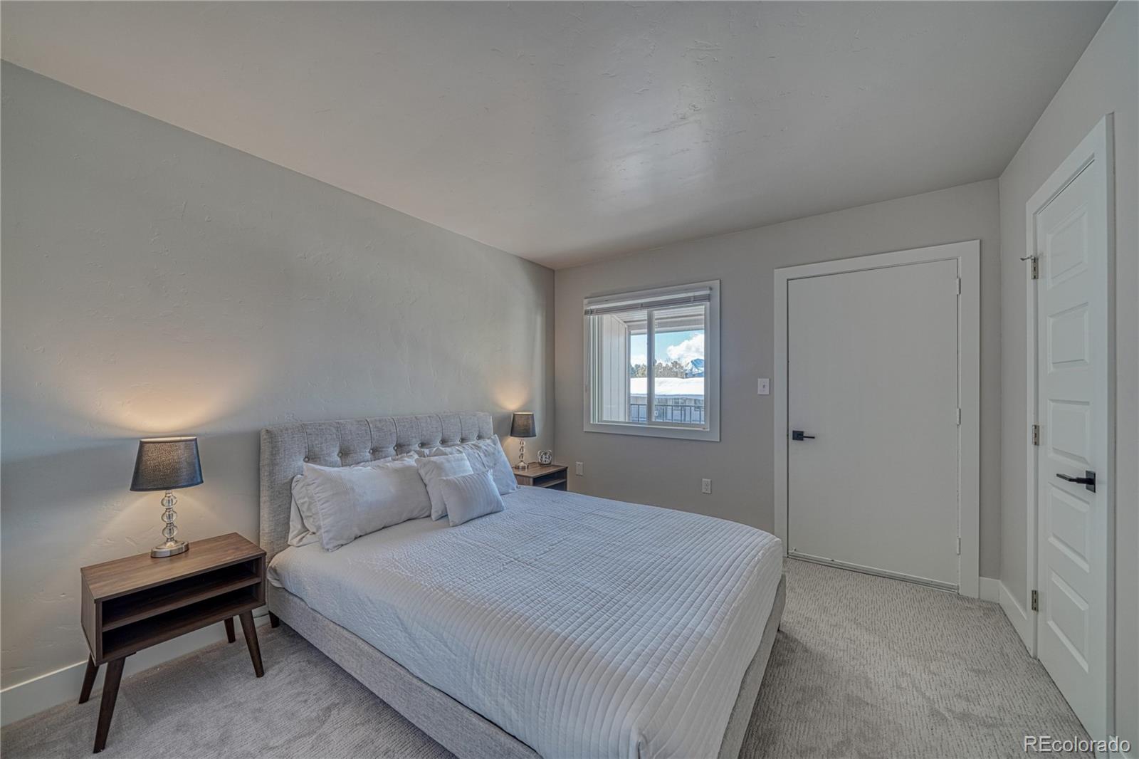 MLS Image #12 for 921  mt massive drive,leadville, Colorado