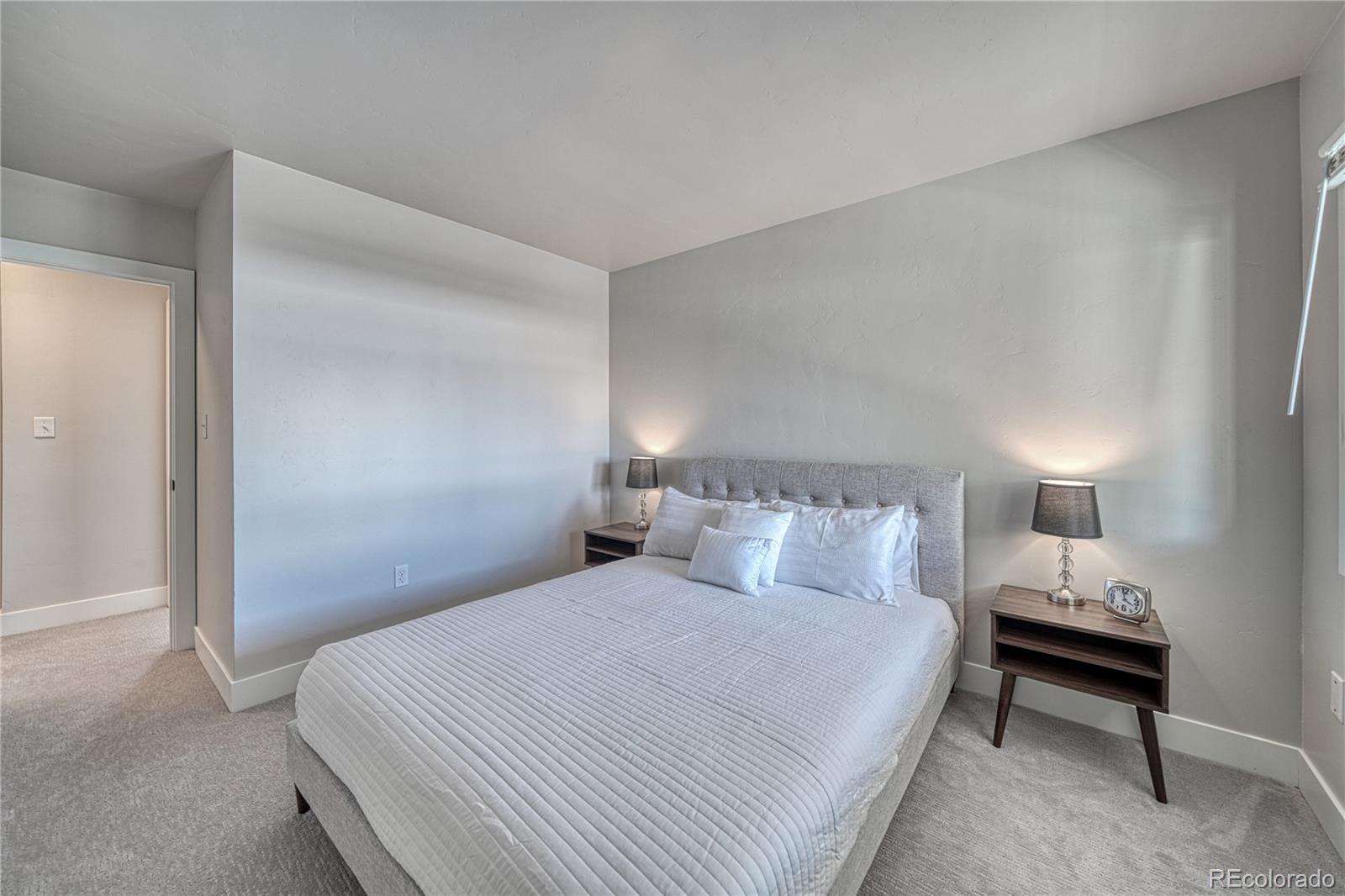 MLS Image #13 for 921  mt massive drive,leadville, Colorado