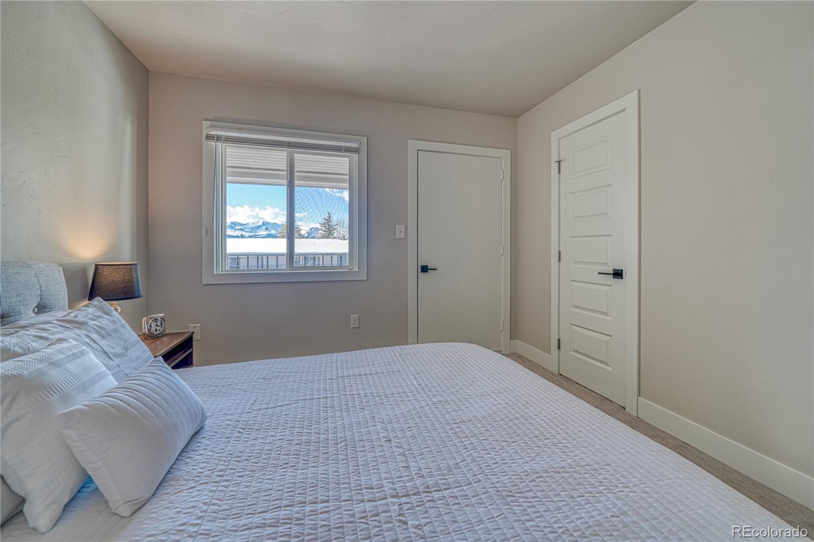 MLS Image #14 for 921  mt massive drive,leadville, Colorado