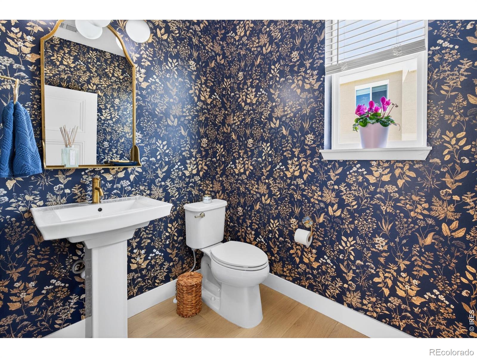 MLS Image #15 for 2250 s mcintyre street,lakewood, Colorado