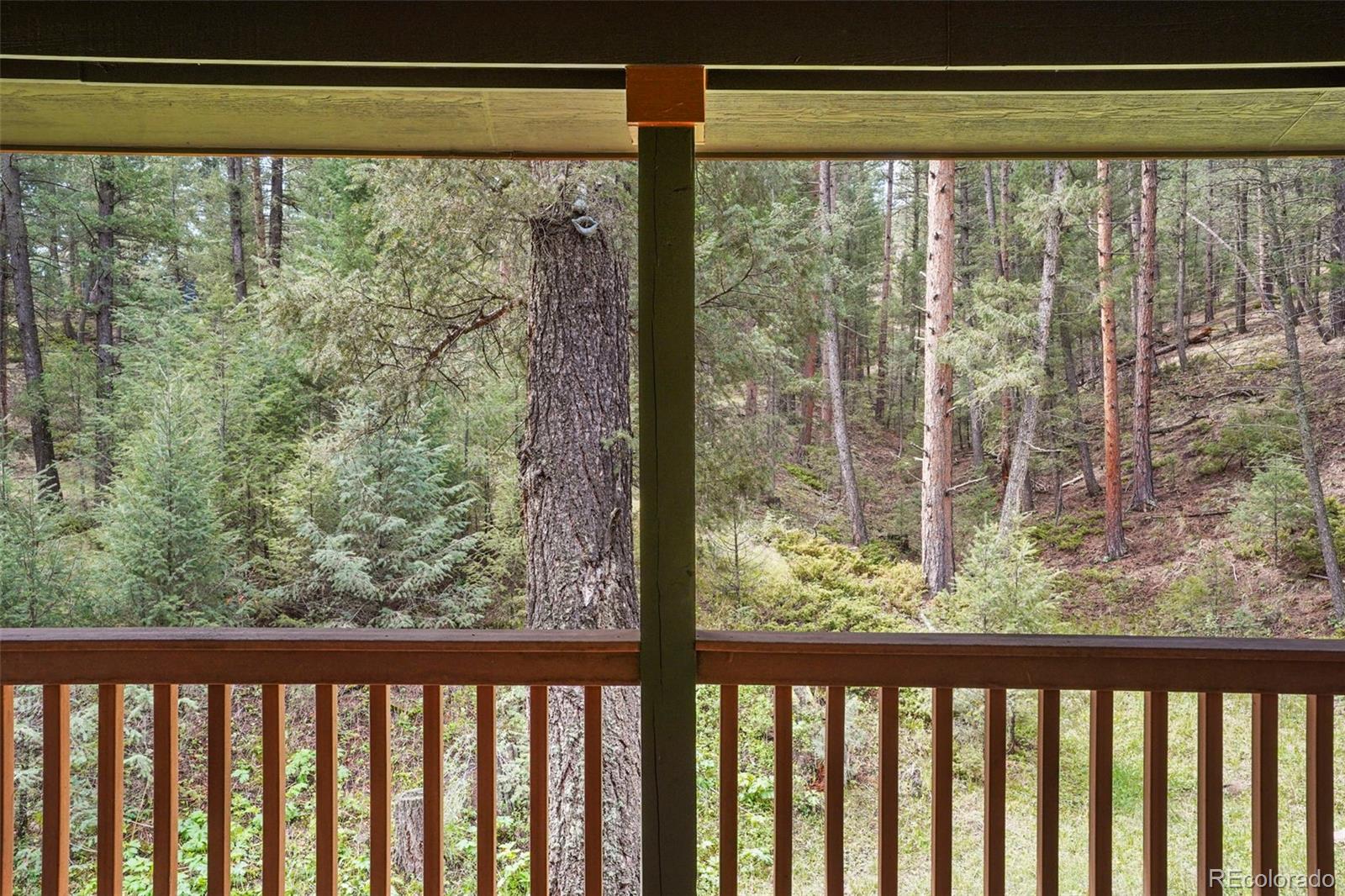 MLS Image #11 for 1424  high drive,sedalia, Colorado
