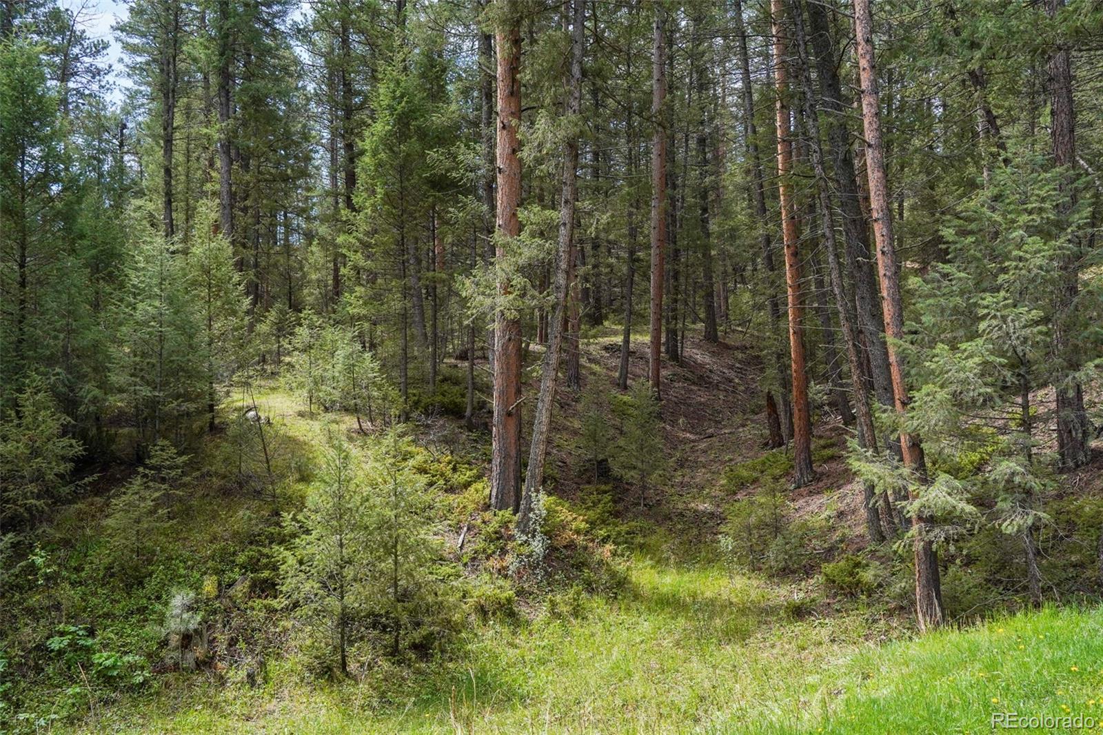 MLS Image #23 for 1424  high drive,sedalia, Colorado