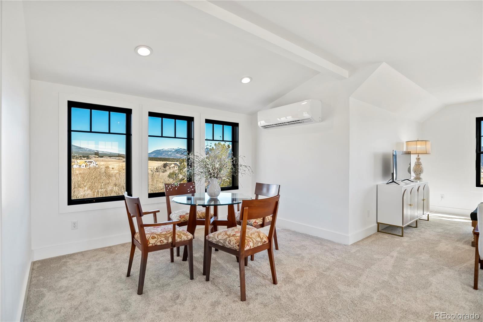 MLS Image #29 for 17320  county road 306 ,buena vista, Colorado