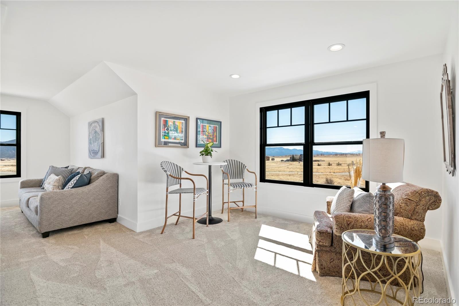 MLS Image #31 for 17320  county road 306 ,buena vista, Colorado