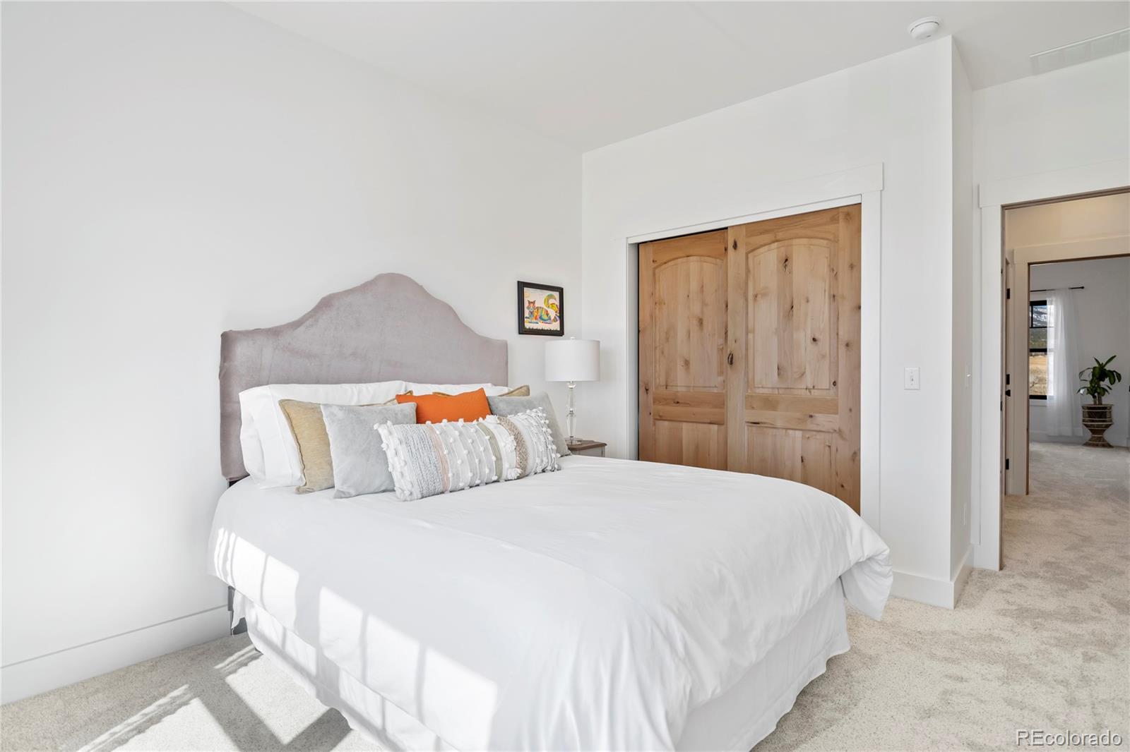 MLS Image #36 for 17320  county road 306 ,buena vista, Colorado