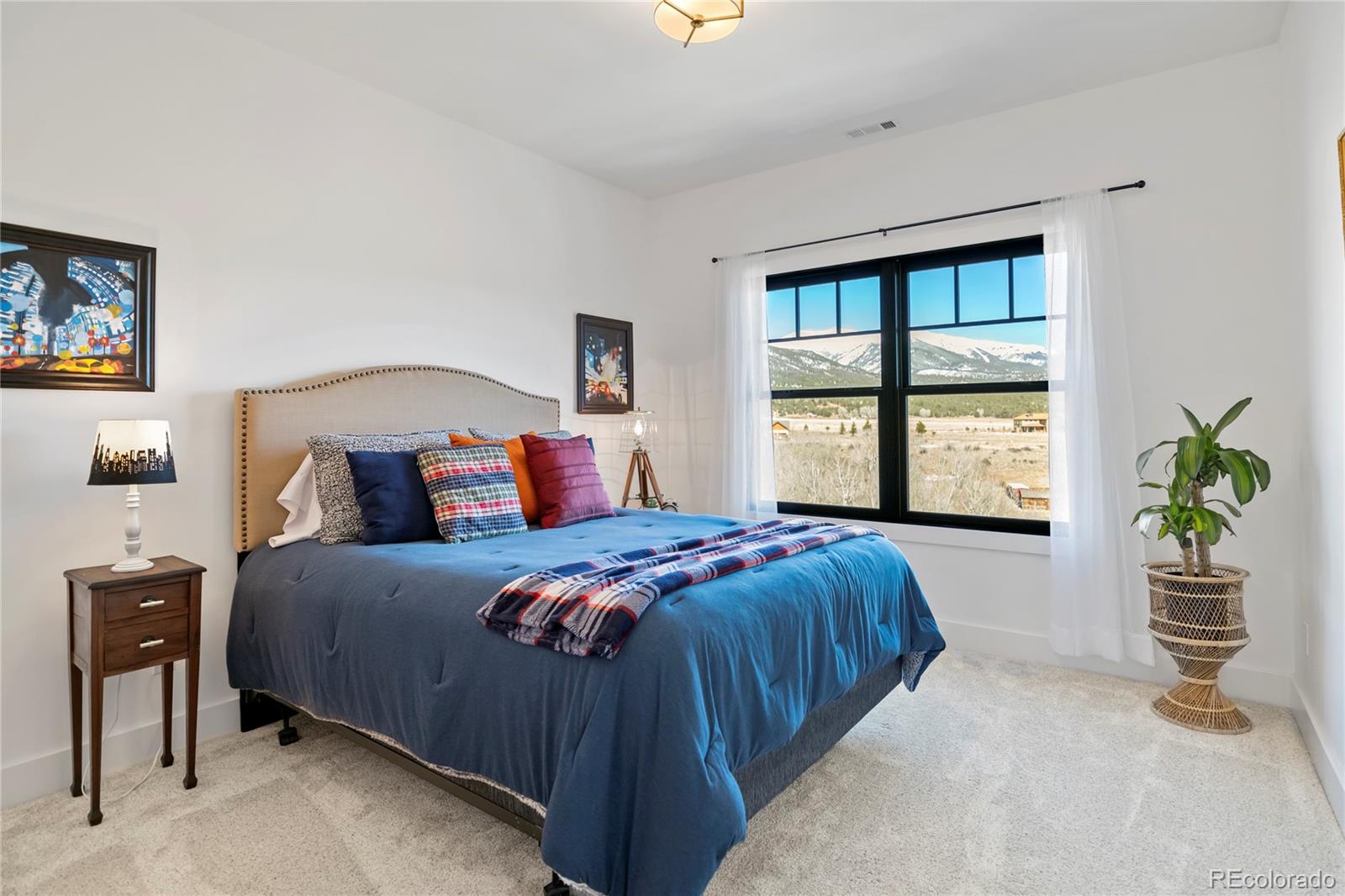 MLS Image #40 for 17320  county road 306 ,buena vista, Colorado