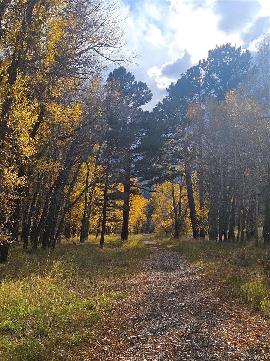 MLS Image #44 for 17320  county road 306 ,buena vista, Colorado
