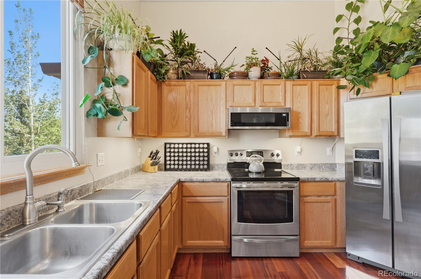 MLS Image #10 for 79  red oak court,erie, Colorado