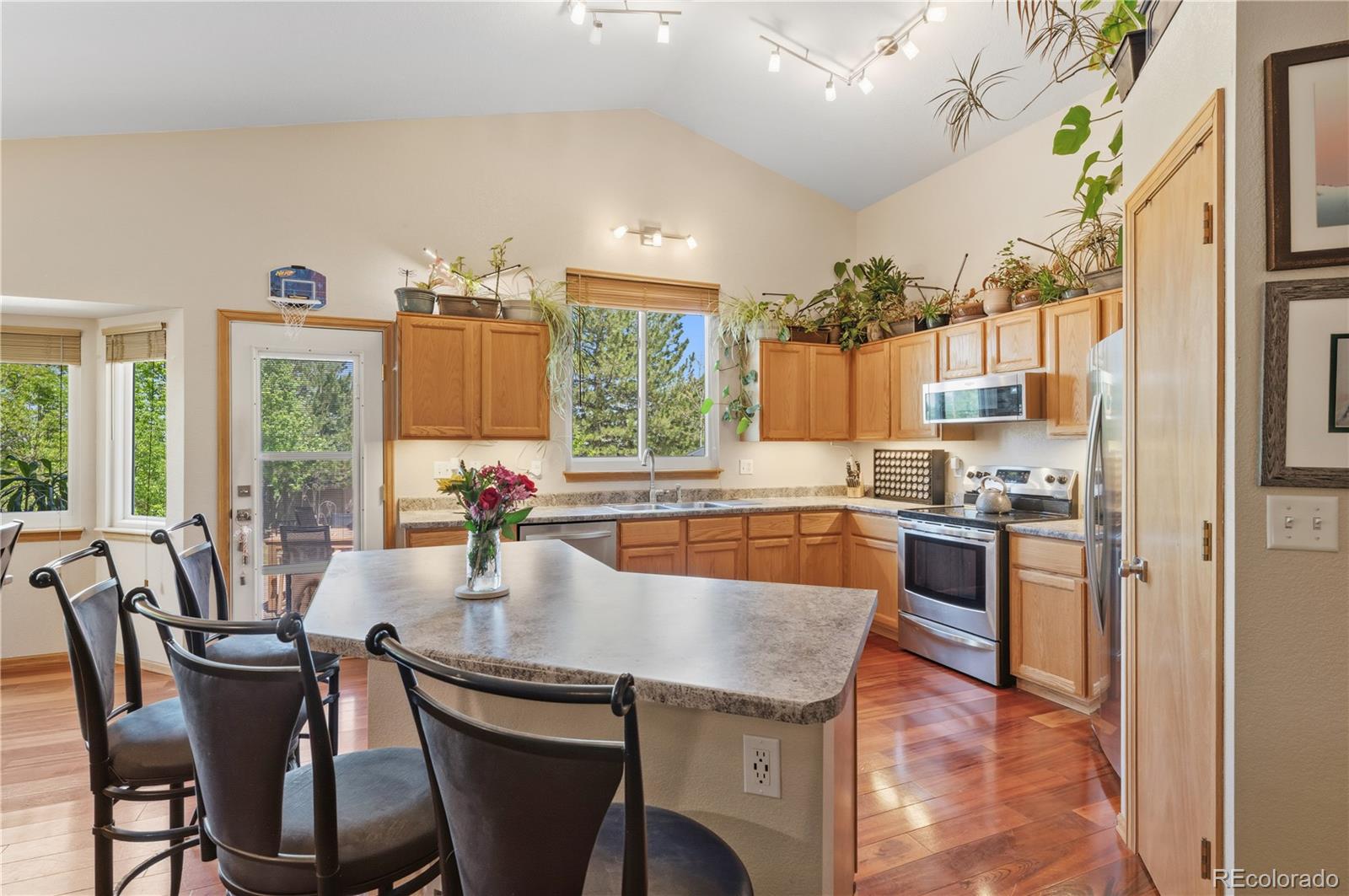 MLS Image #11 for 79  red oak court,erie, Colorado
