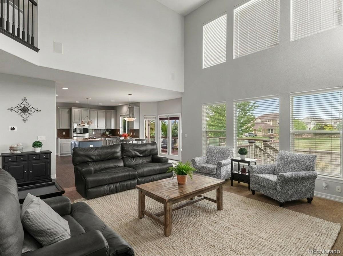 MLS Image #10 for 11691  riverdale drive,parker, Colorado