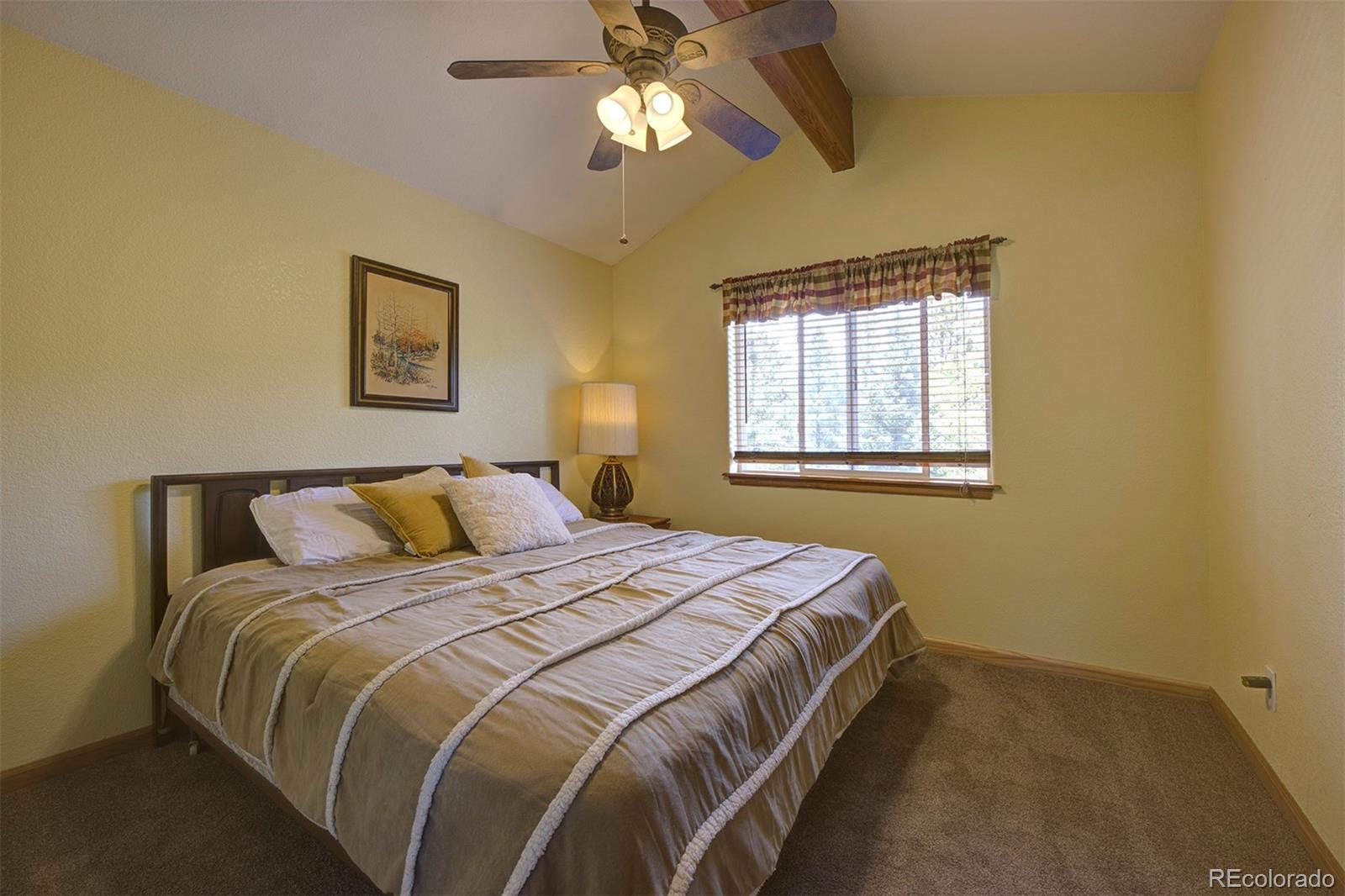 MLS Image #30 for 33508  persistence avenue,pine, Colorado